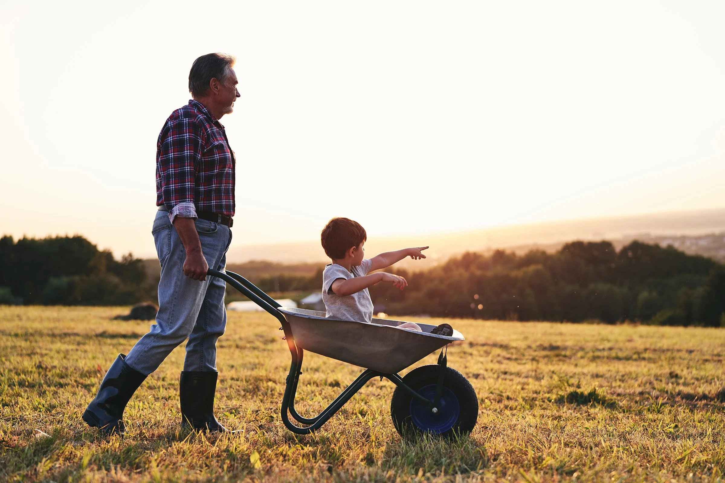 An elderly man in a checkered shirt and jeans pushing a young boy who is sitting in a wheelbarrow across a grassy field during sunset. The boy is pointing ahead while the man looks down at him.