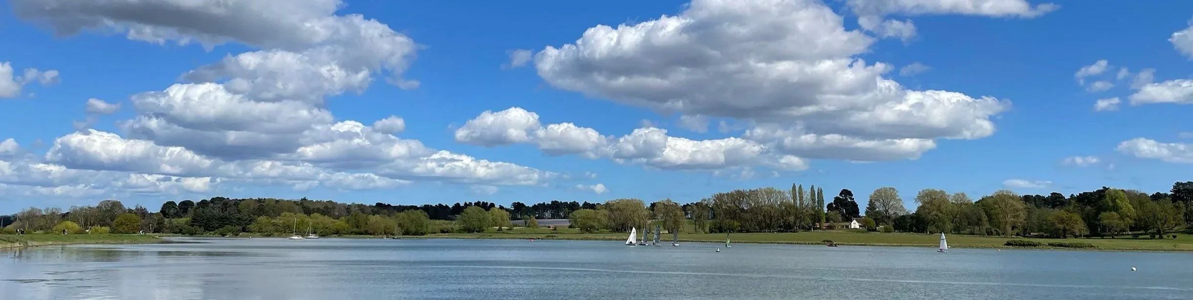 A scenic view of a lake with sailboats, green trees, and a partly cloudy blue sky.