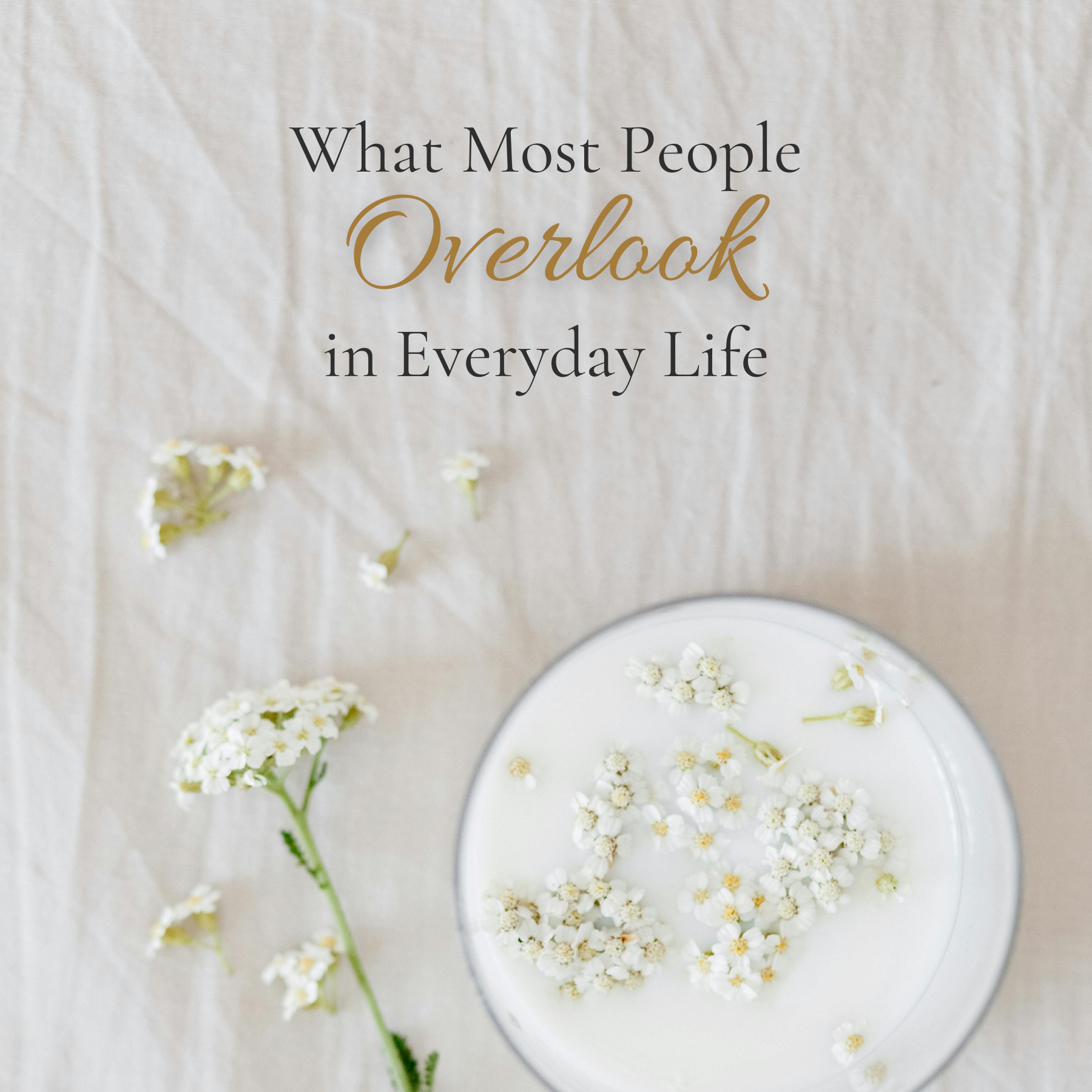 What Most People Overlook in Everyday Life