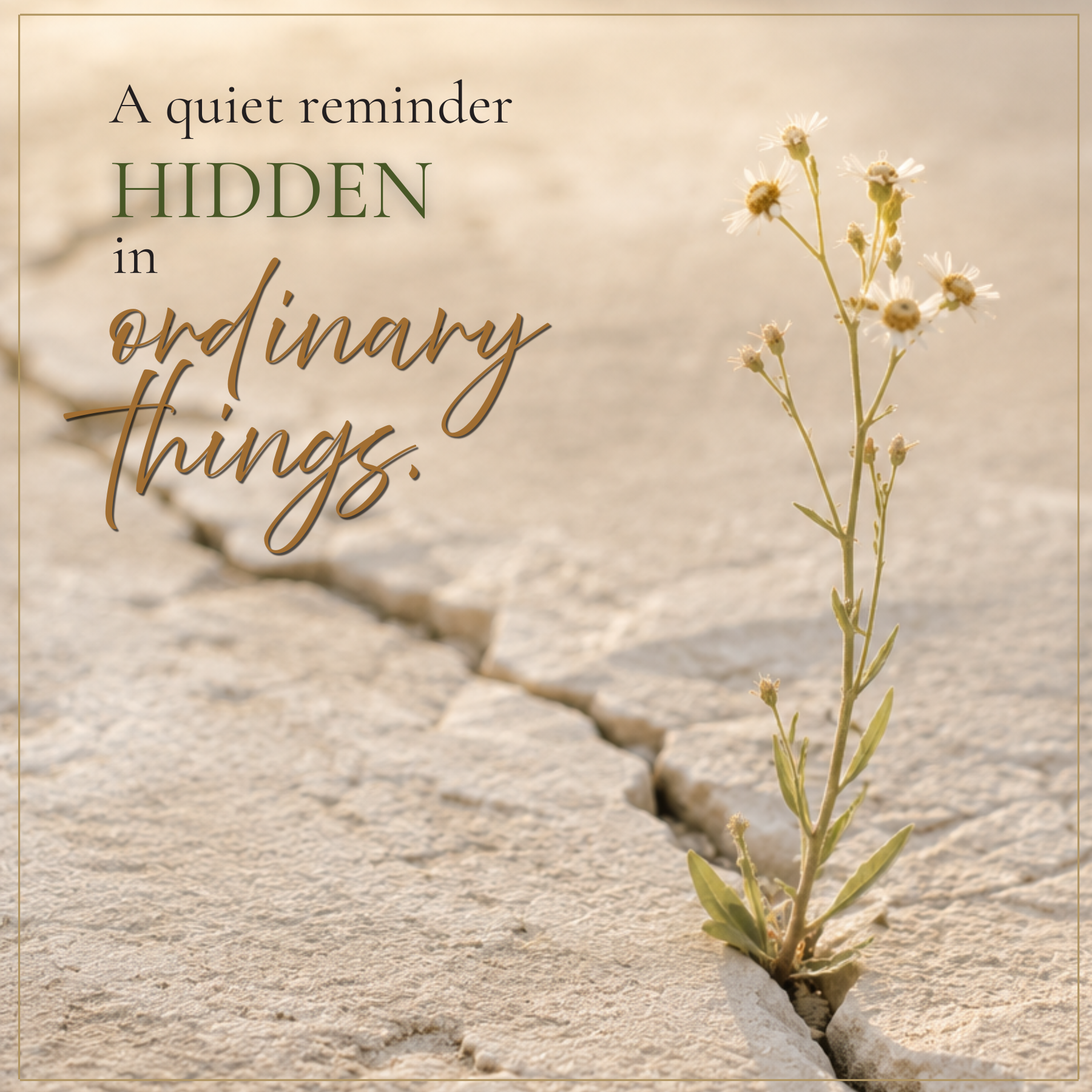 A Quiet Reminder Hidden in Ordinary Things