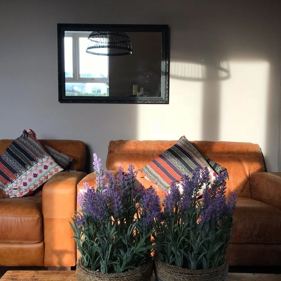 Sunlight hitting a living room wall with a mirror, two brown leather sofas with patterned cushions, and two large potted purple flowering plants in baskets.