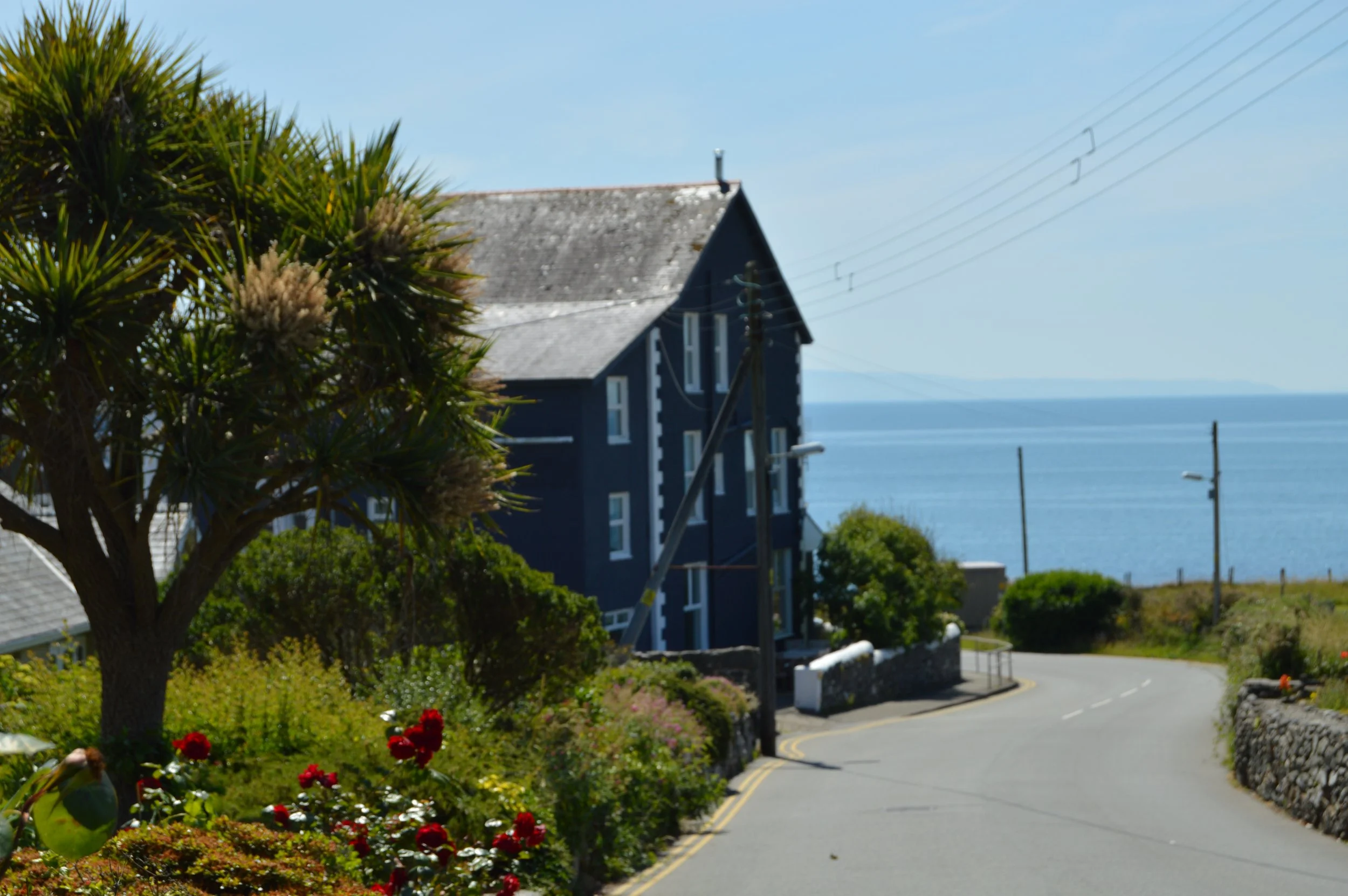 A winding street with double yellow lines, a blue house with white trim, a large tree in the foreground, and the ocean in the background under a clear blue sky.