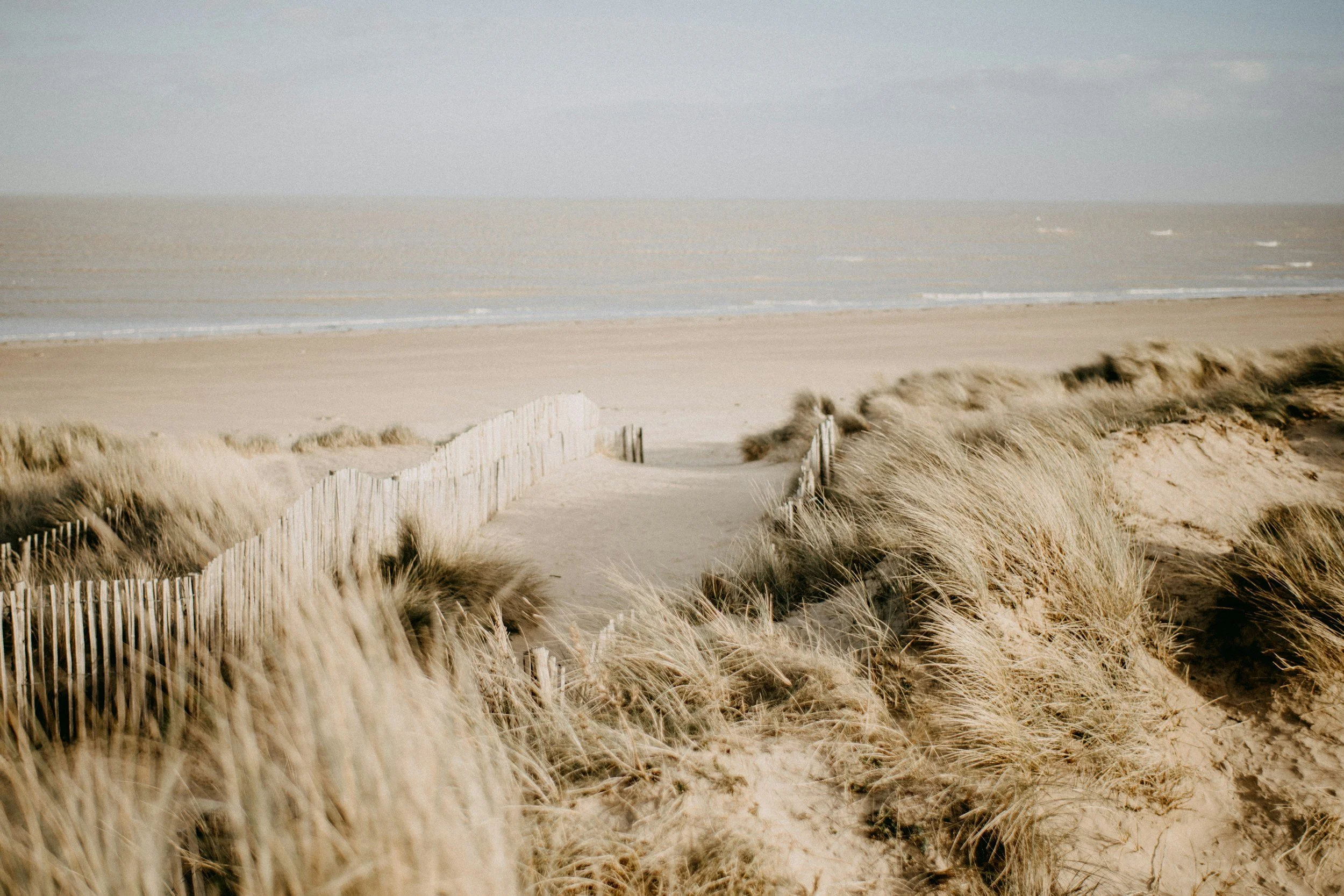 A sandy beach with dune grass, a wooden fence, and the ocean in the distance under a cloudy sky.