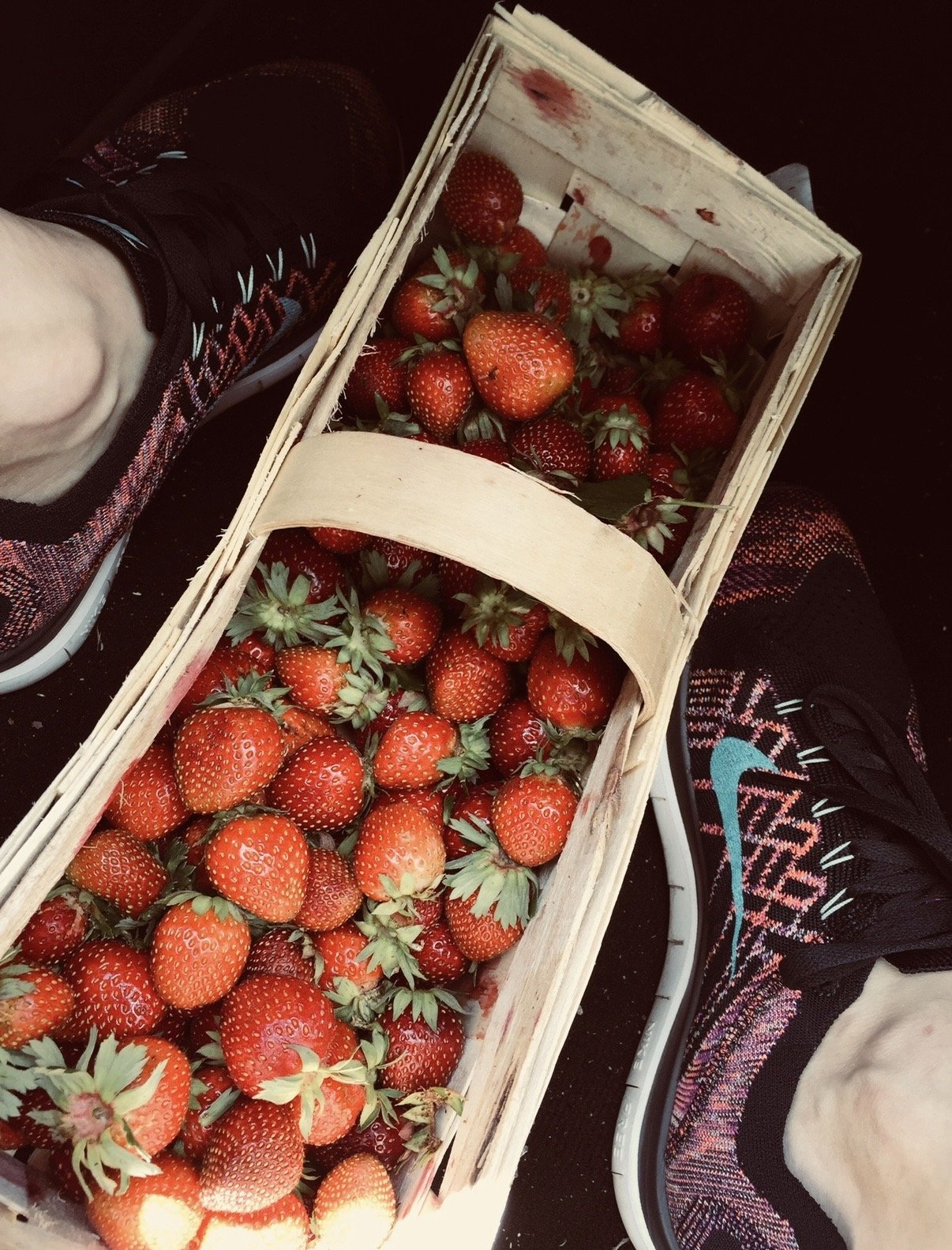 What Polish strawberries have to do with honouring my roots