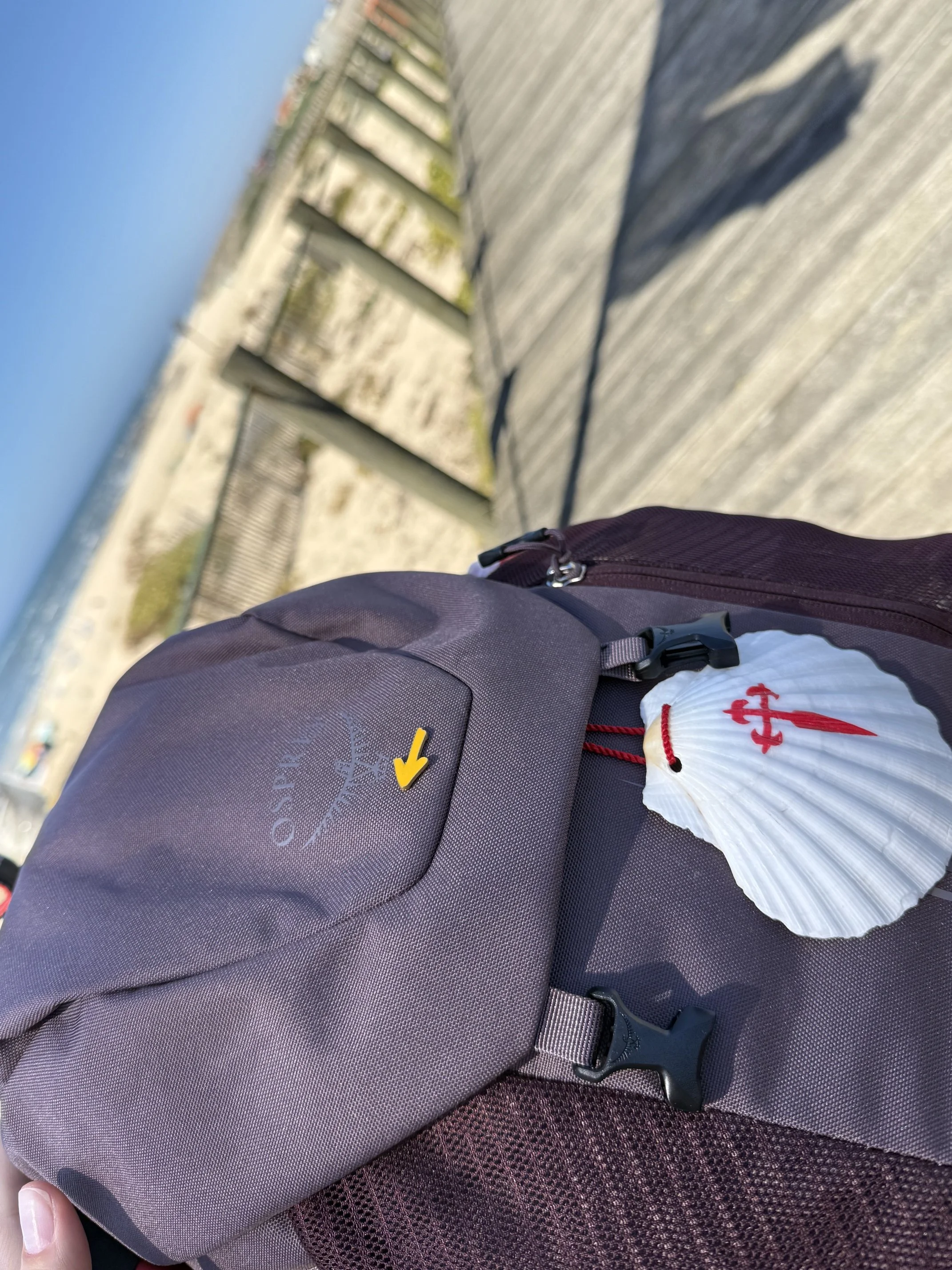 Backpack with shell.jpeg