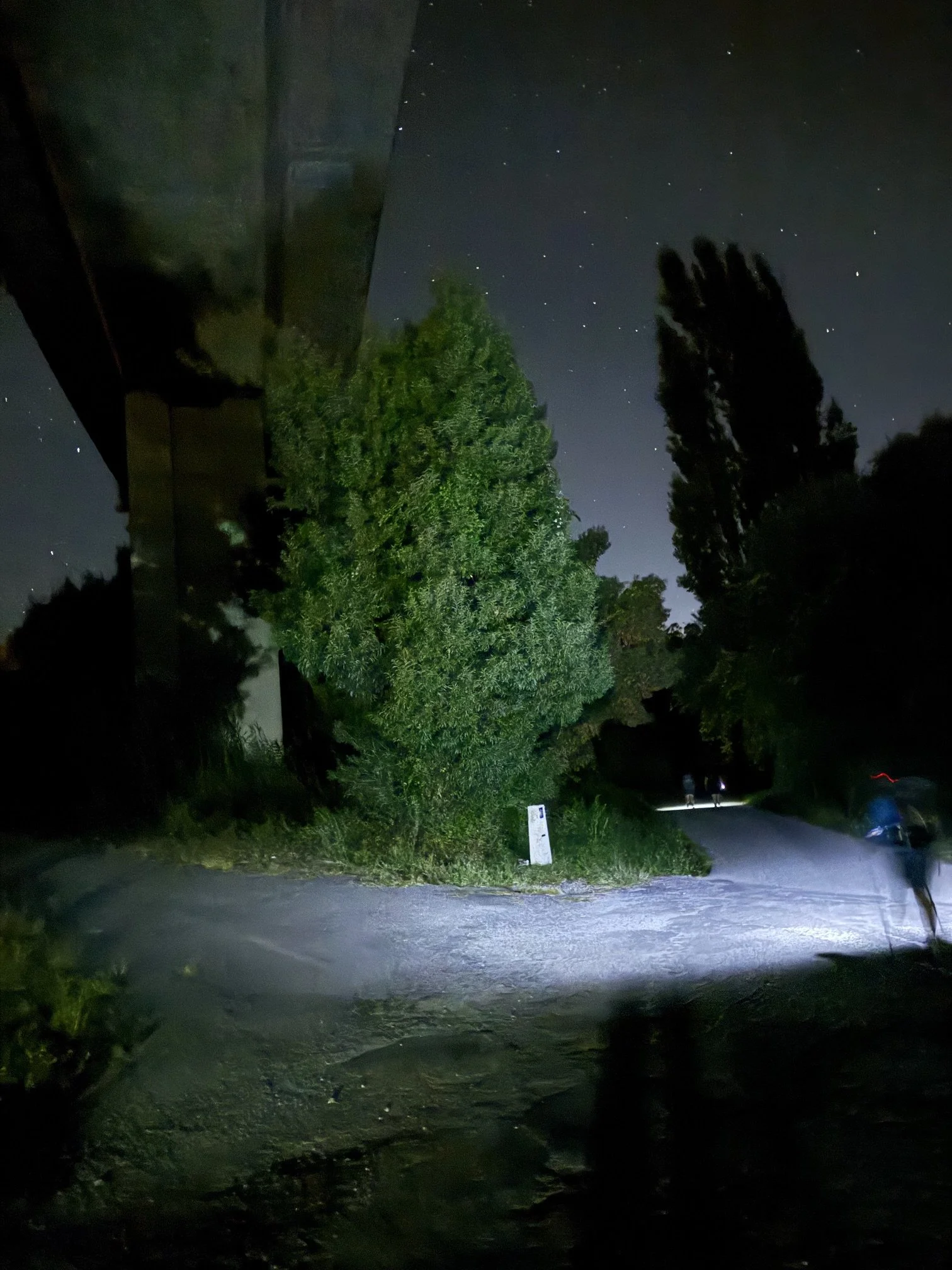 Before the dawn on the Camino.jpeg