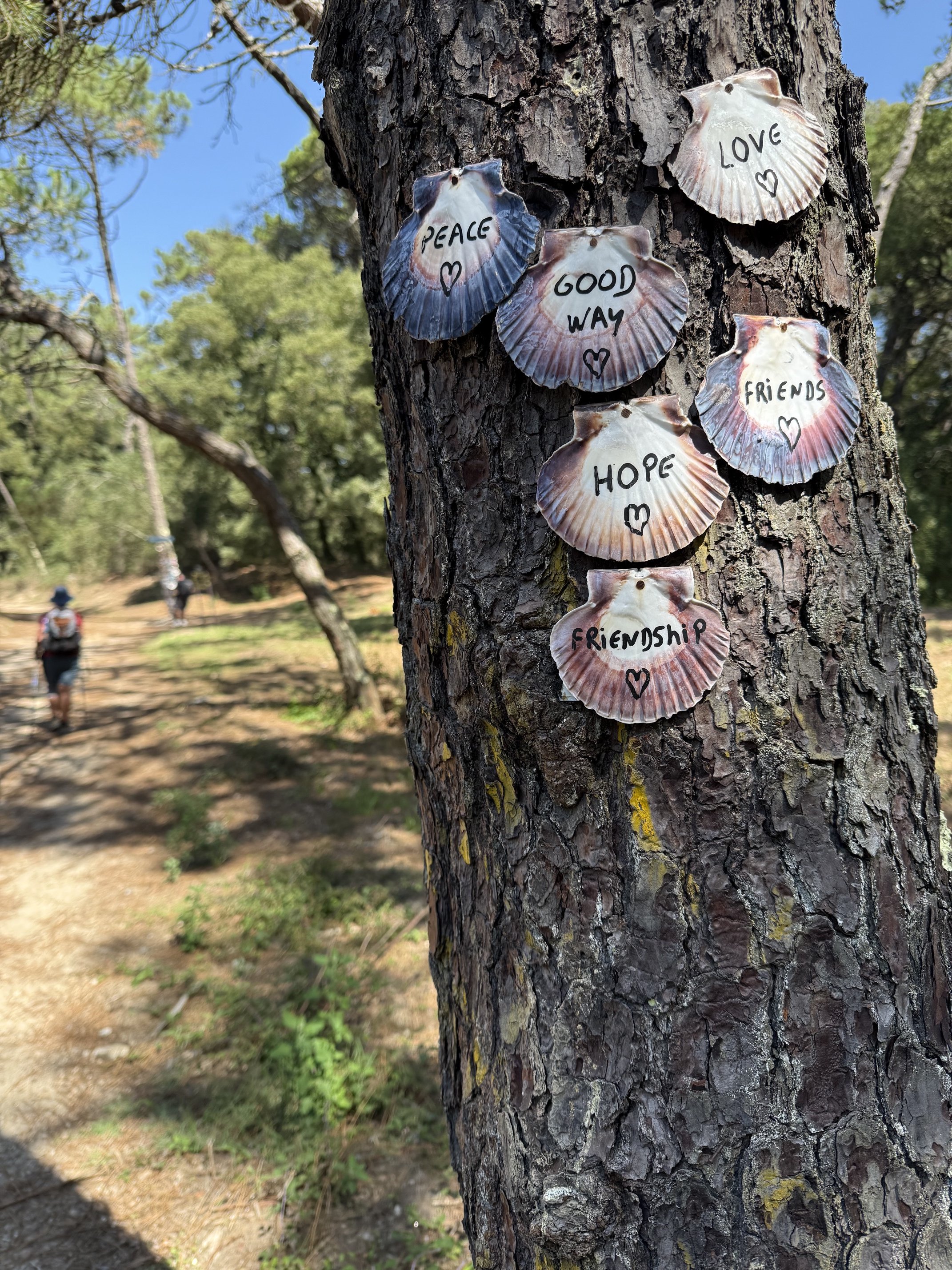 Camino inspiration shells.jpeg