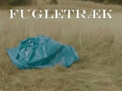 Fugletræk