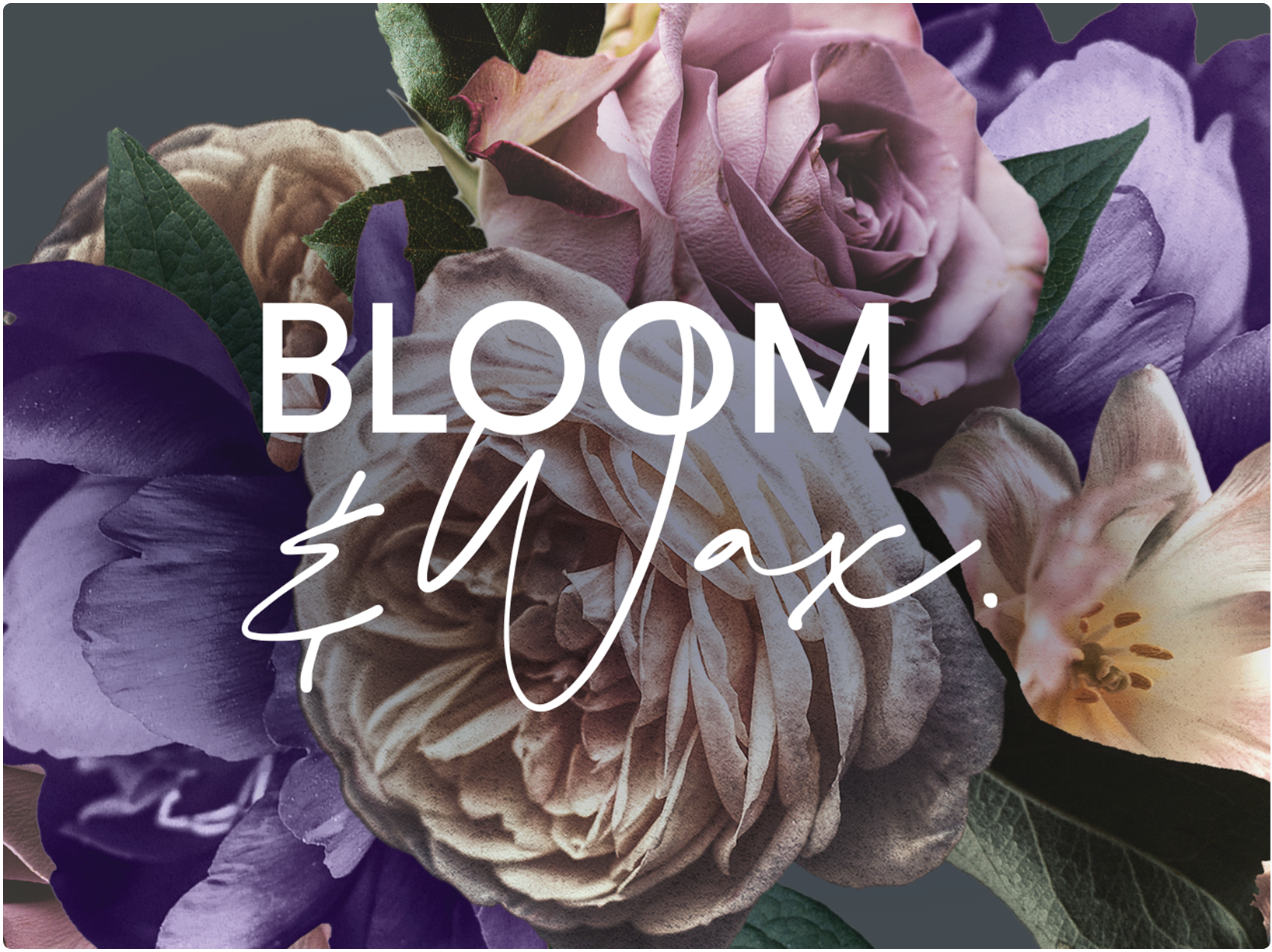 Bloom & Wax. Branding.