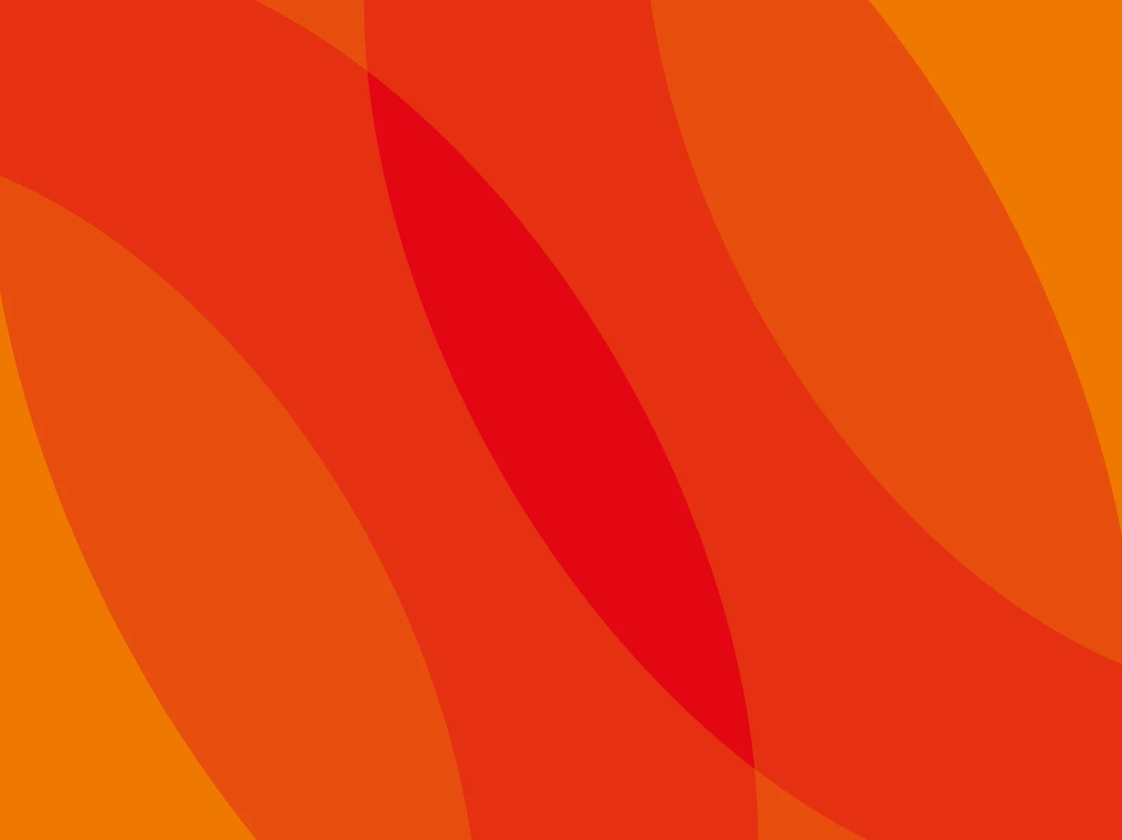 Pumpkin S&D. Brand Design