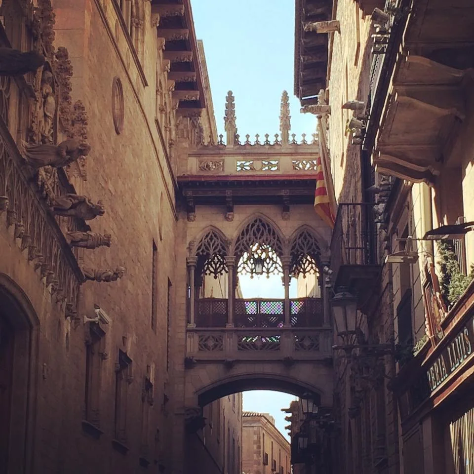 Historic European building with Gothic-style architecture and decorative statues, featuring a bridge with ornamental arches connecting the buildings, and a flag hanging on the side.