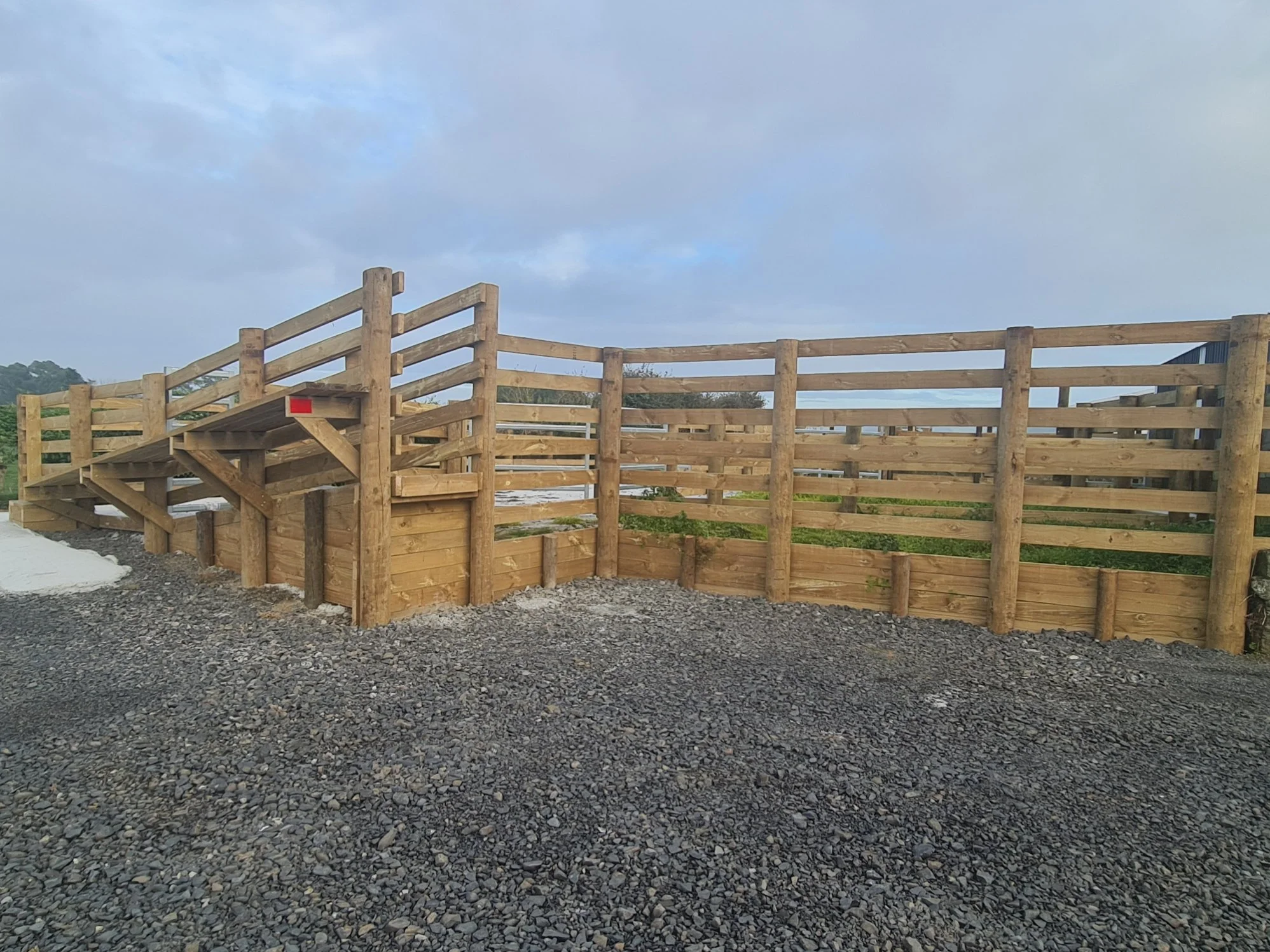 Heavy-duty wooden cattle yards with elevated walkways, safety railings, and stairs on a level gravel base under a bright, partly cloudy sky in Pukekawa