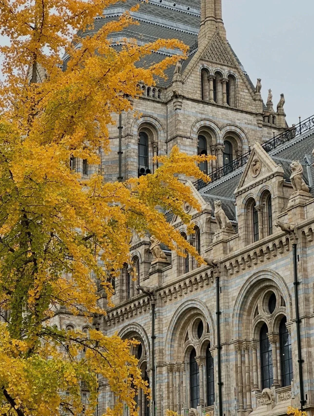 Autumn in England: London and the English Countryside 