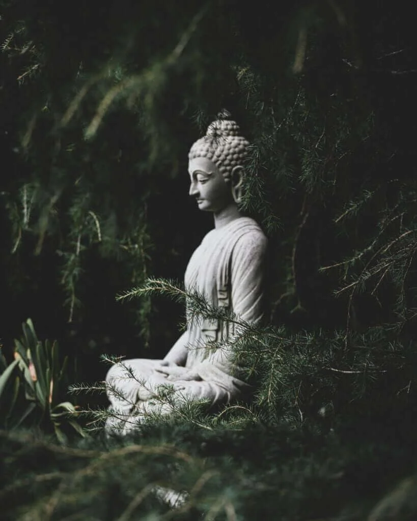 Discover a Gentle Gateway into Deep Awareness: Why “Brilliant Sanity” Matters