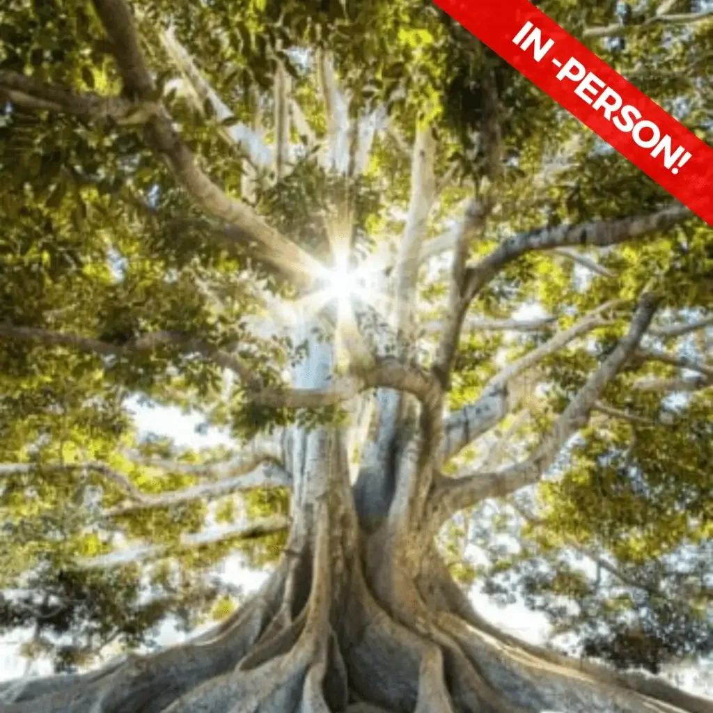 Ancestral Ground: A Maitri Retreat in the Body of the Earth