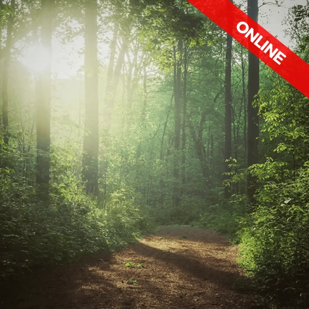The Path of Compassionate Awareness: Exploring Karuna Training