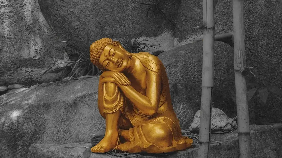 buddha_vid2.webp