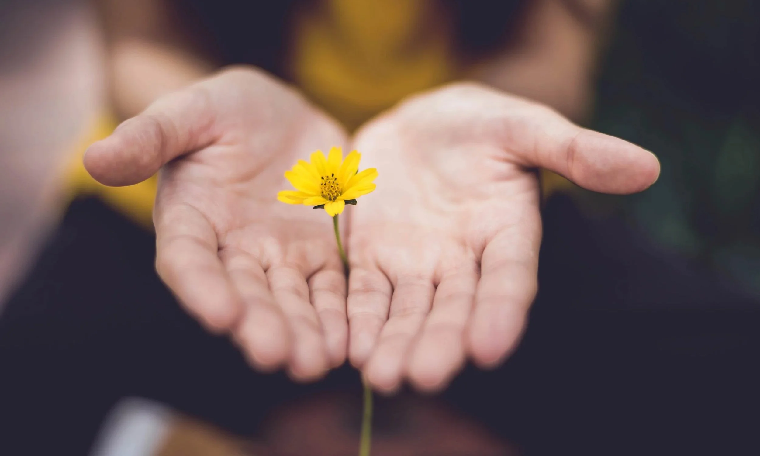 Executive's guide to flourishing: How I made gratitude a daily practice