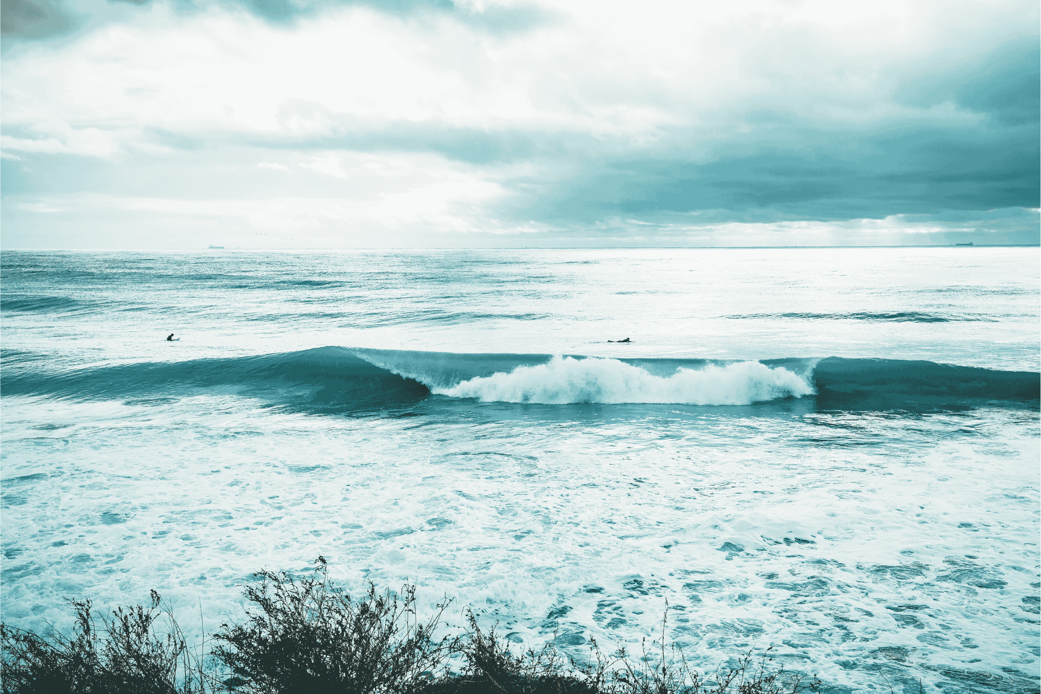 Stewardship begins where certainty ends