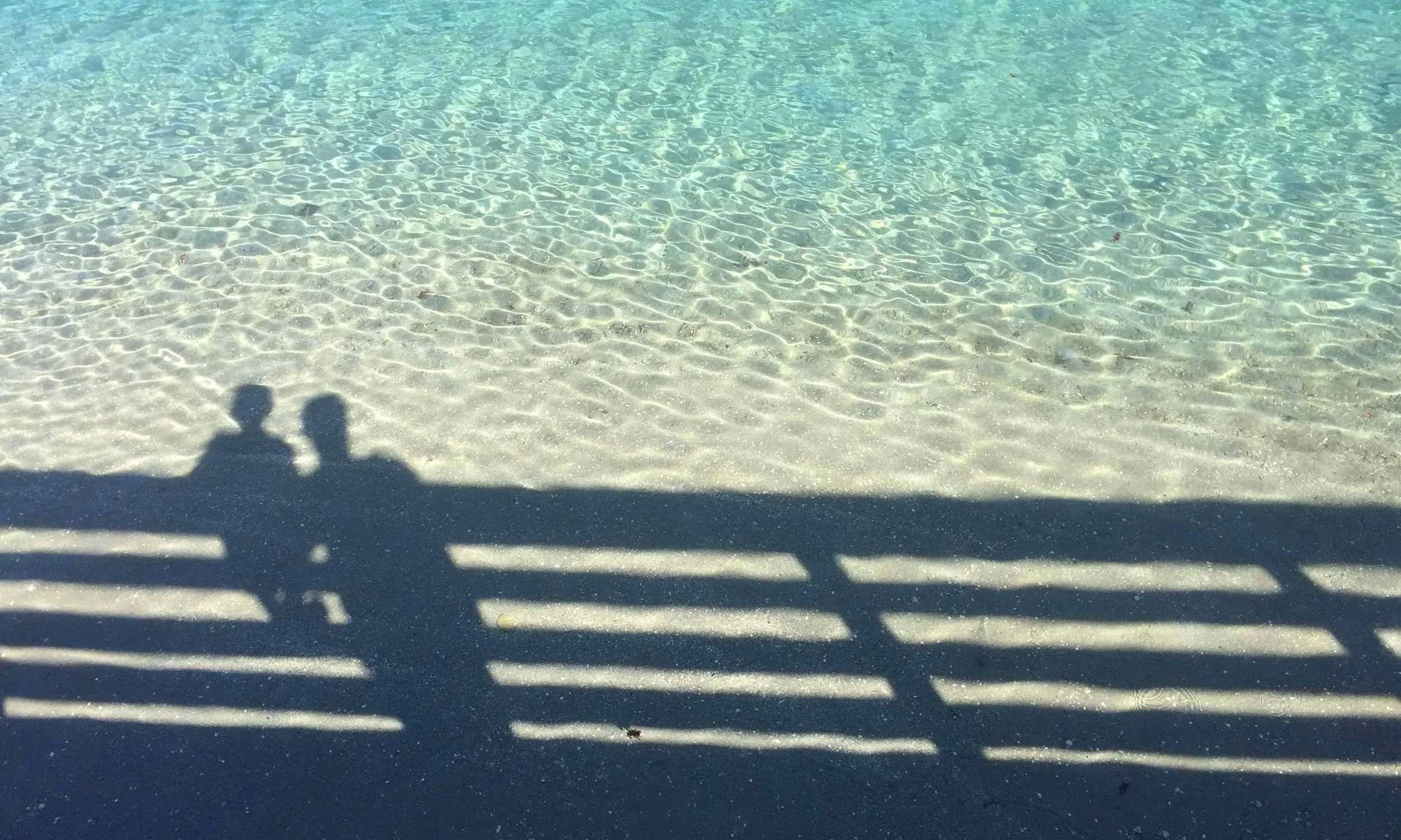 Executive's guide to flourishing: The transformative power of self-compassion in leadership
