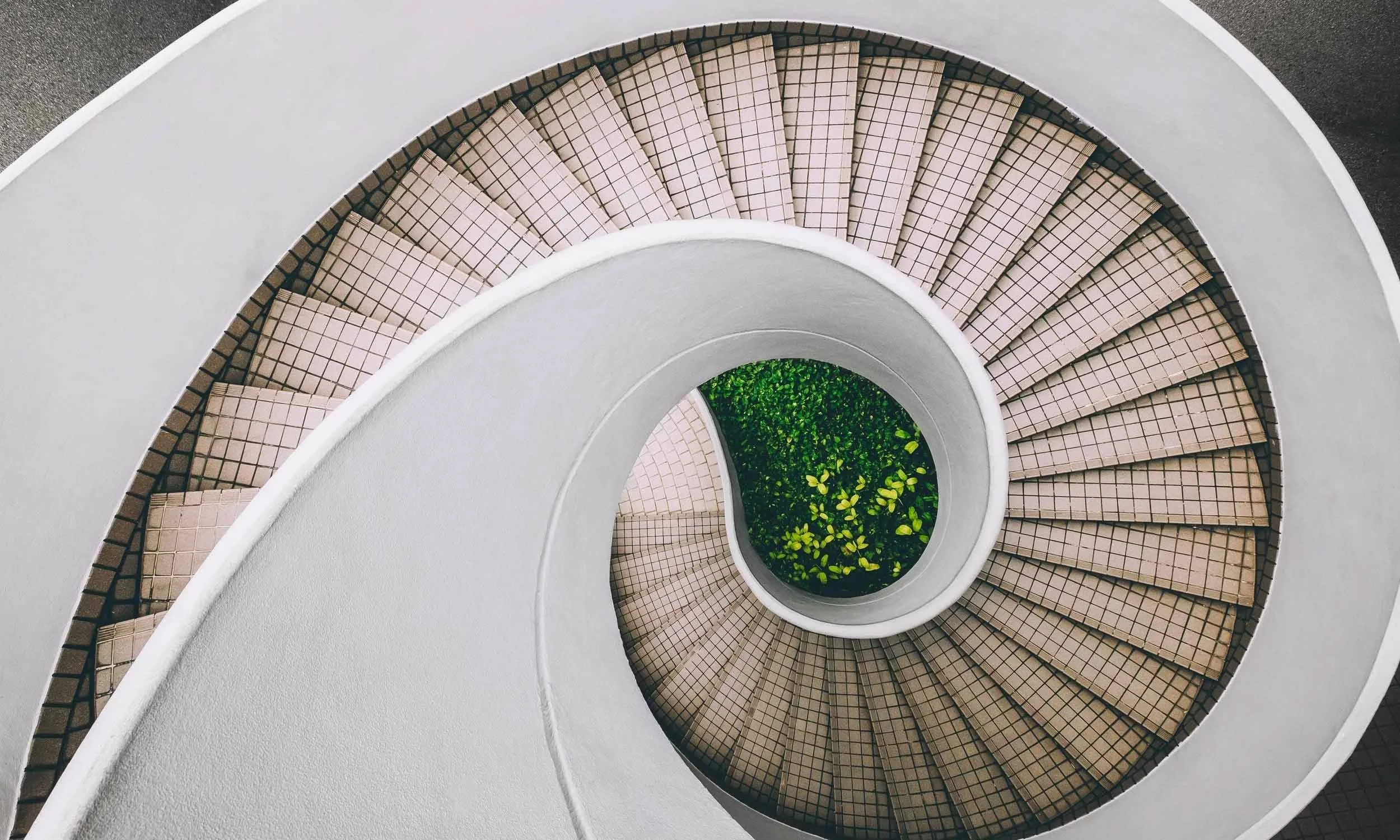 Top-down aerial view down through a spiral staircase with tiled steps spiralling around a central planted feature.
