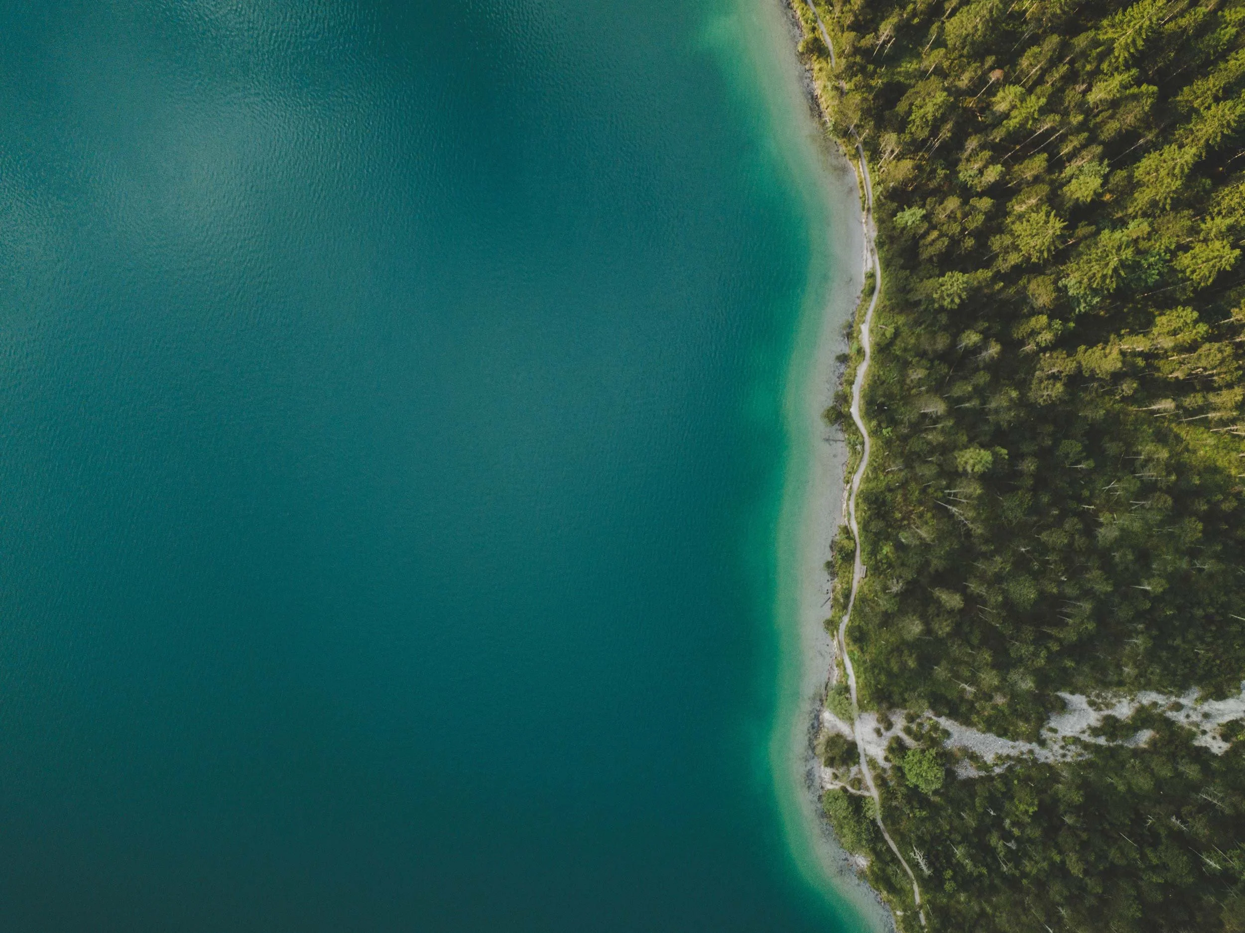 Aerial view of a forested coastline meeting clear turquoise water.