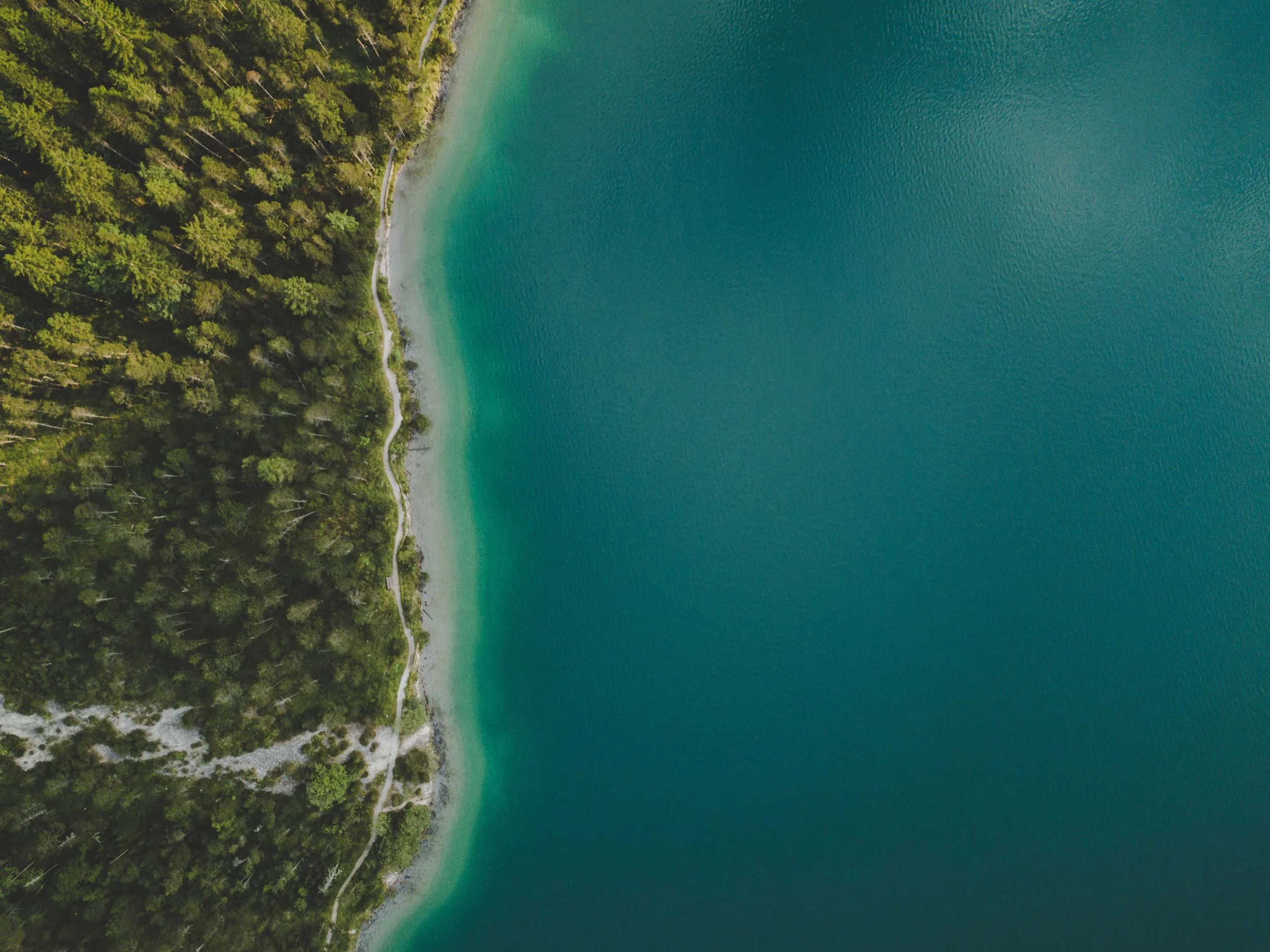 Aerial view of a forested coastline meeting clear turquoise water.