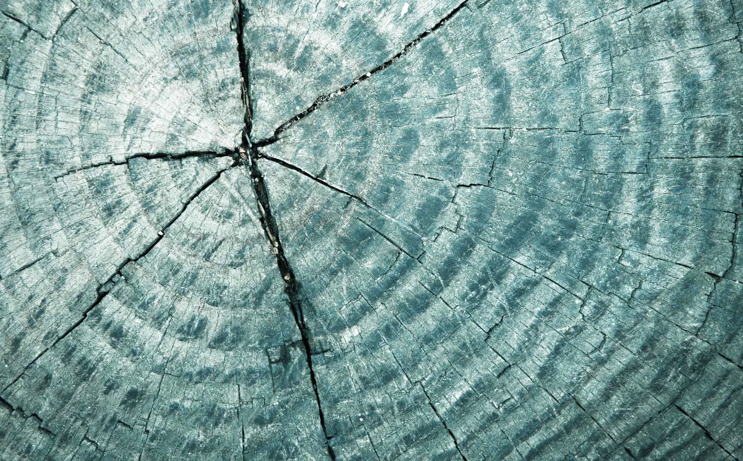 When inner pressure distorts judgement