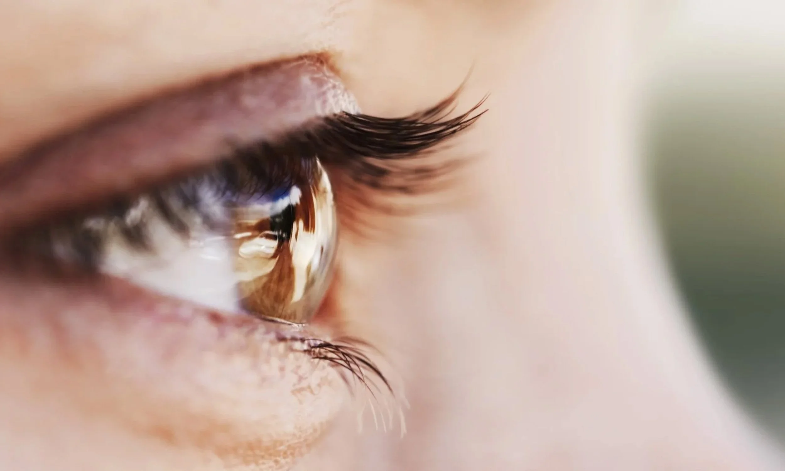 Close-up of a side view of an eye with a faint reflection captured in the iris.
