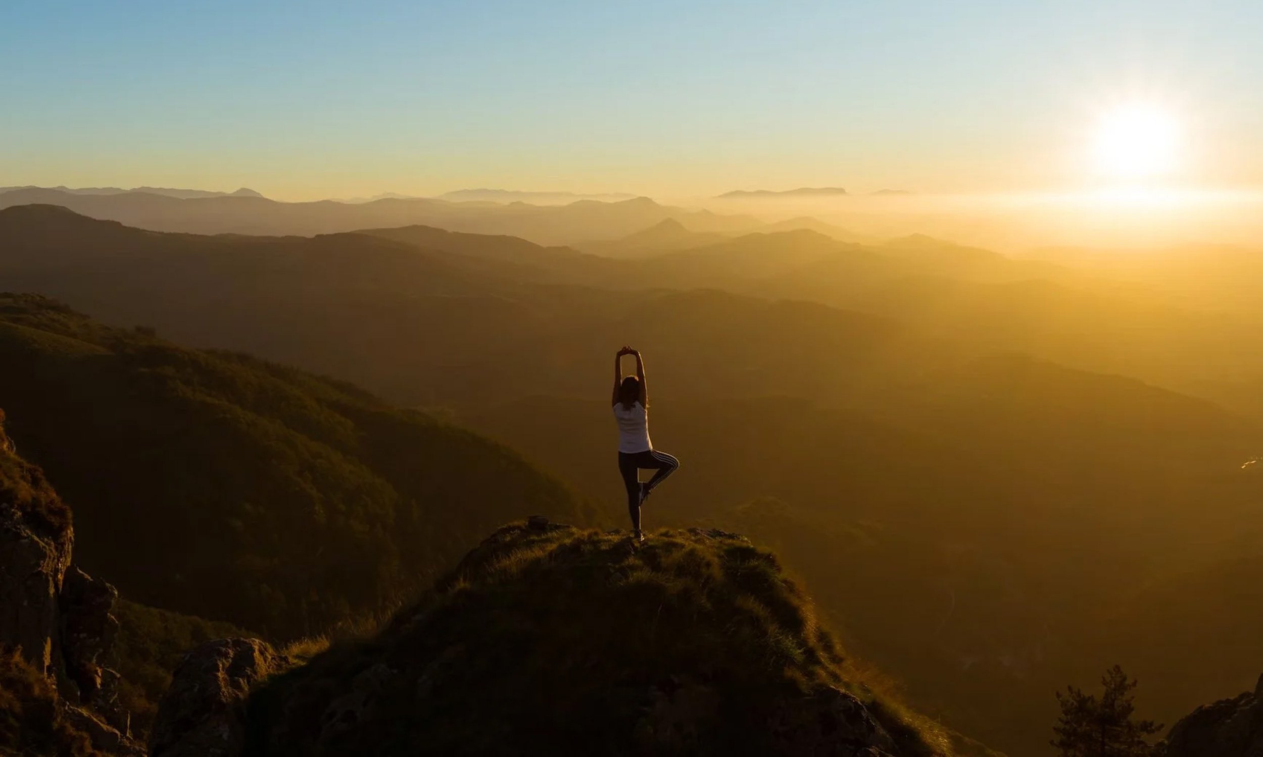 Executive's guide to flourishing: How Yin Yoga enables you to thrive in high-stress environments