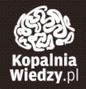 White brain outline with intricate details on a dark background, with text 'Kopania Wiedzy.pl' below