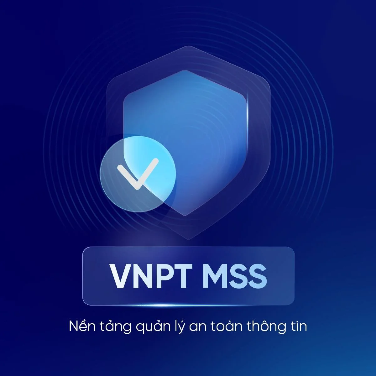 VNPT VCI Launching Campaign