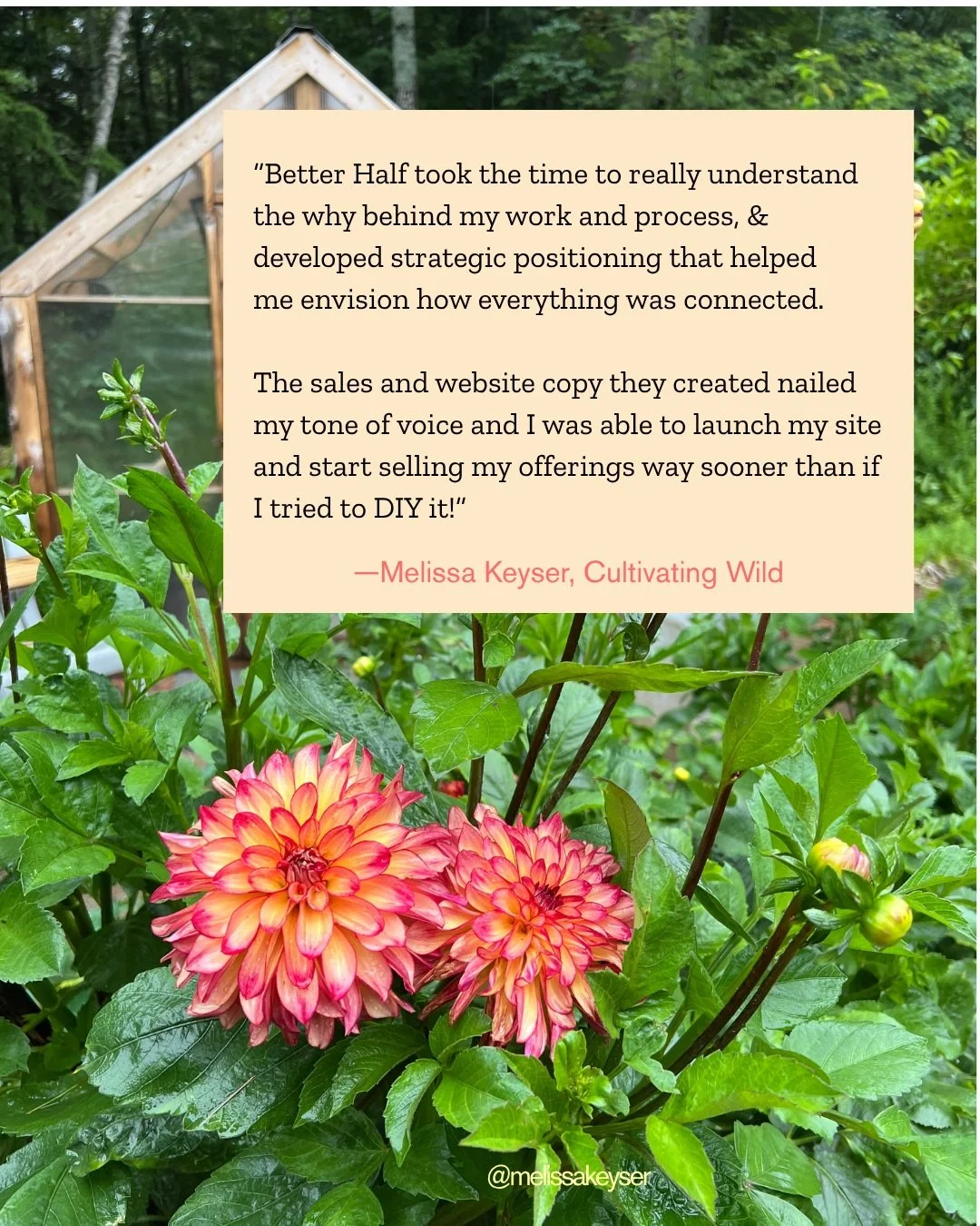 Some nice words from Cultivating Wild's @melissakeyser! 

Cultivating Wild is a midcoast Maine landscape design studio helping homeowners create outdoor spaces that feel beautiful, functional, and deeply connected to place. 

Give us all of the flowe