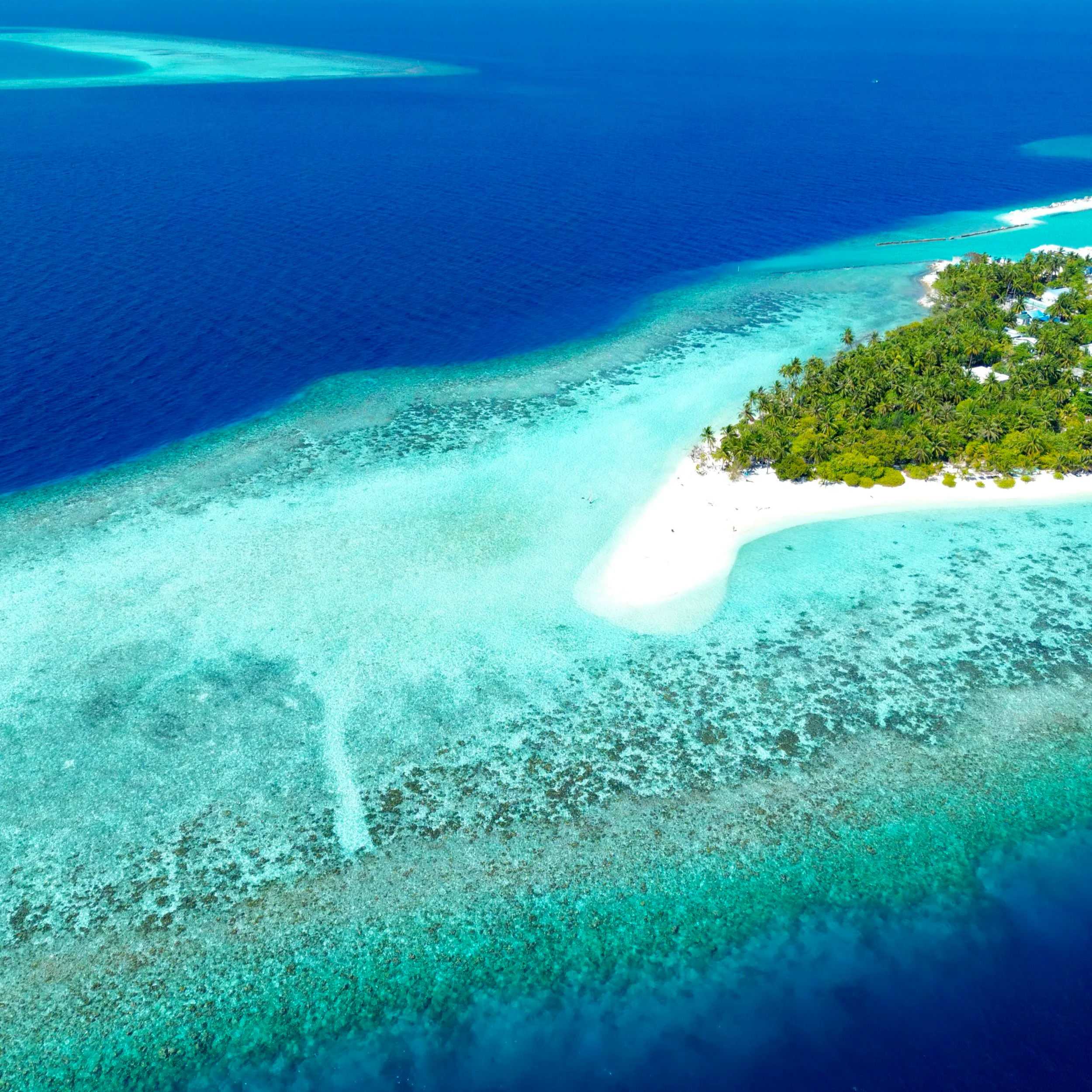 Photo aérienne d'une plage de sable blanc bordée de palmiers, avec des eaux turquoises et profondes à l'océan.