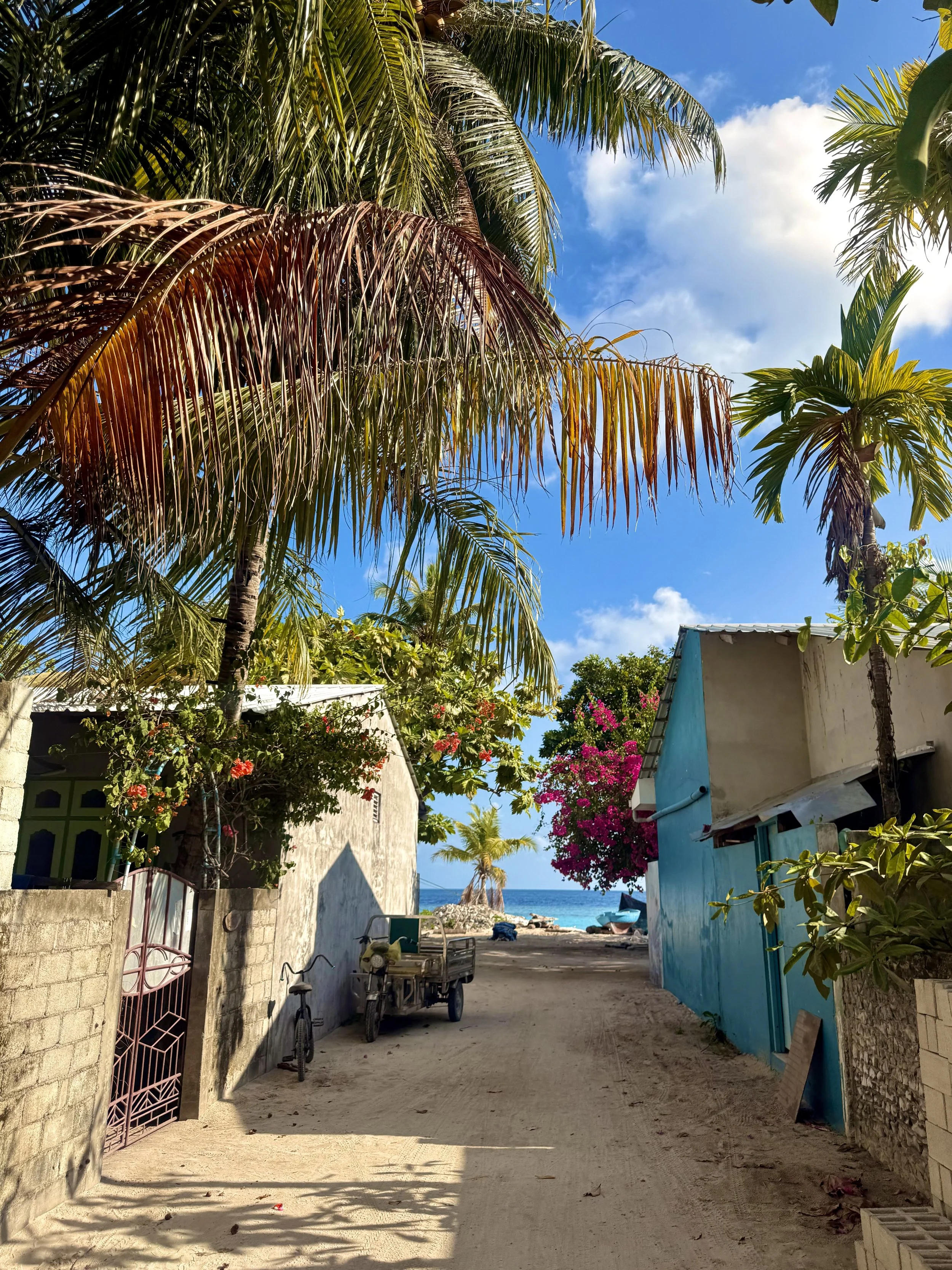 Vue d'une rue de plage bordée de maisons colorées, avec des palmiers et des fleurs, donnant sur la mer en arrière-plan.