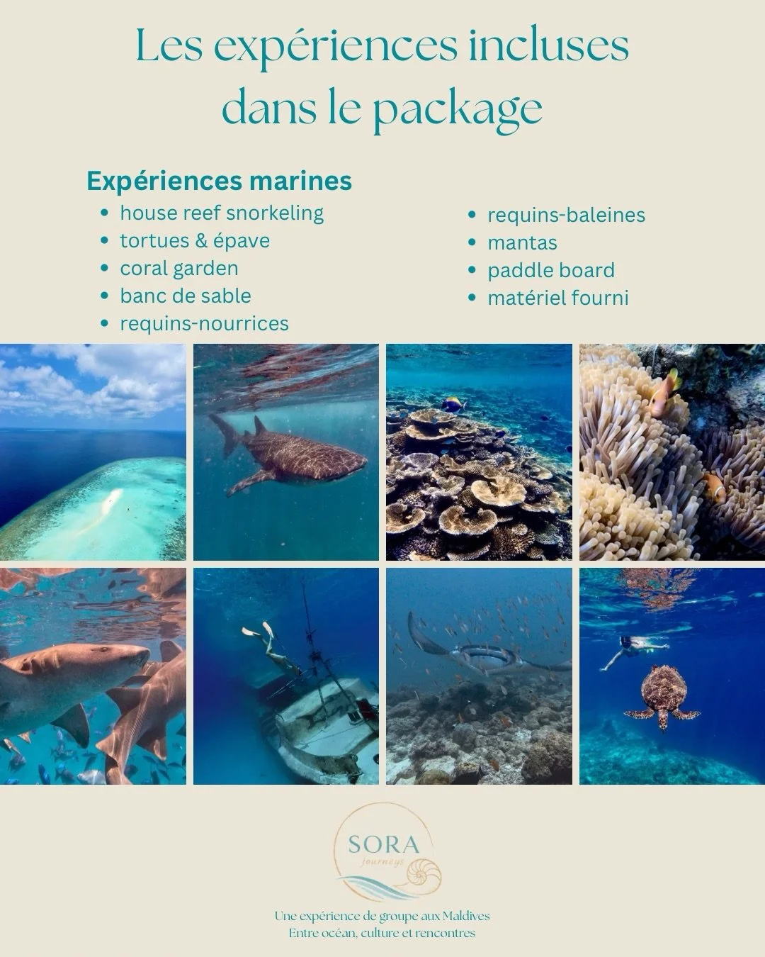 Voici un aper&ccedil;u de ce qui vous attend avec @sorajourneys &agrave; Omadhoo ✨

Vie marine exceptionnelle, exp&eacute;riences locales, moments de partage, couchers de soleil, snorkeling, culture, d&eacute;tente&hellip; 
Un s&eacute;jour pens&eacu