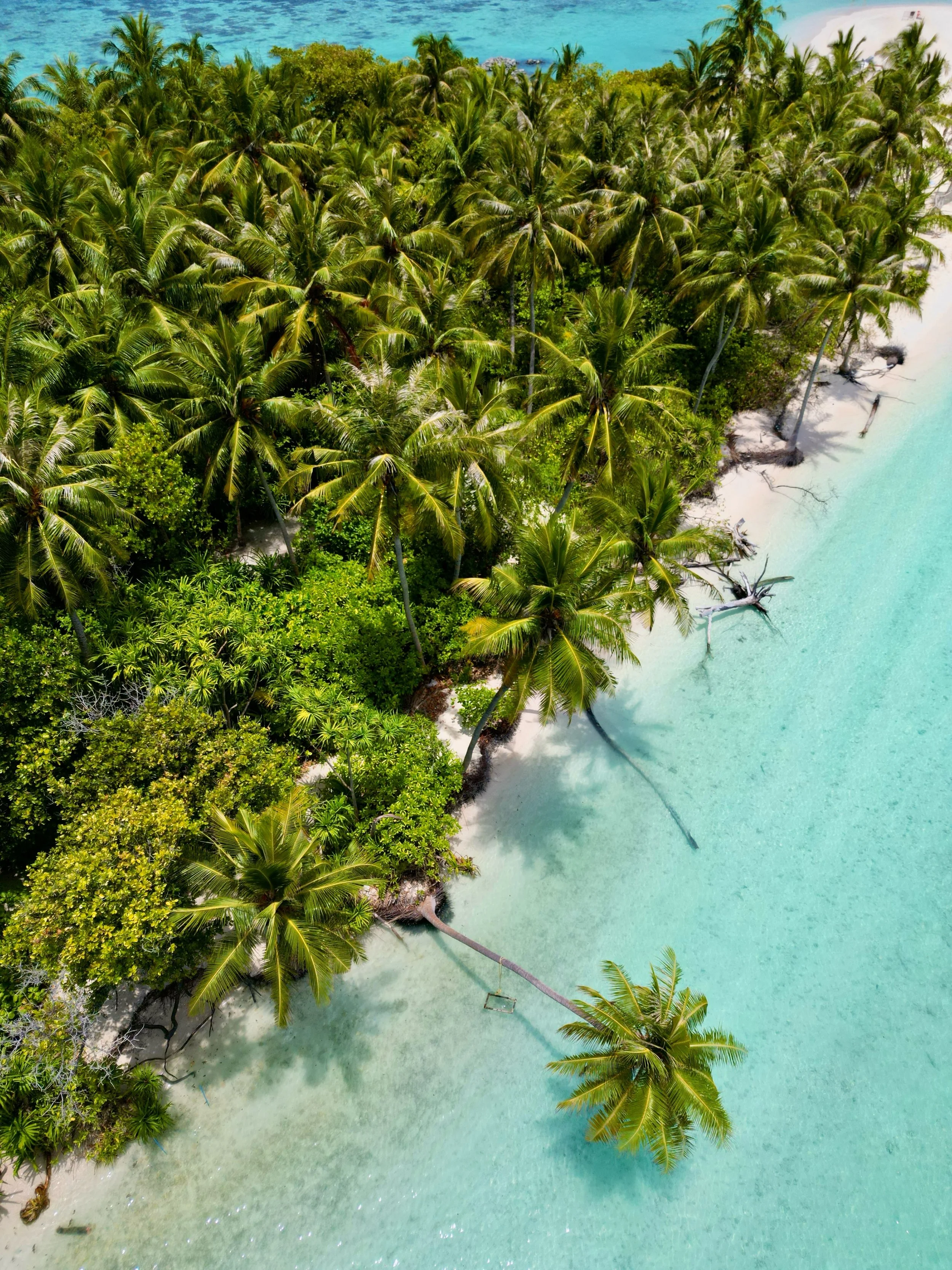 Omadhoo, Maldives 🌴
Une &icirc;le locale, une autre fa&ccedil;on de d&eacute;couvrir les Maldives.
Prochains d&eacute;parts : 
&bull; 2&ndash;9 octobre 
&bull; 10&ndash;19 octobre 
&bull; 9&ndash;18 novembre 
&bull; 20&ndash;29 novembre 
&bull; 1&nd