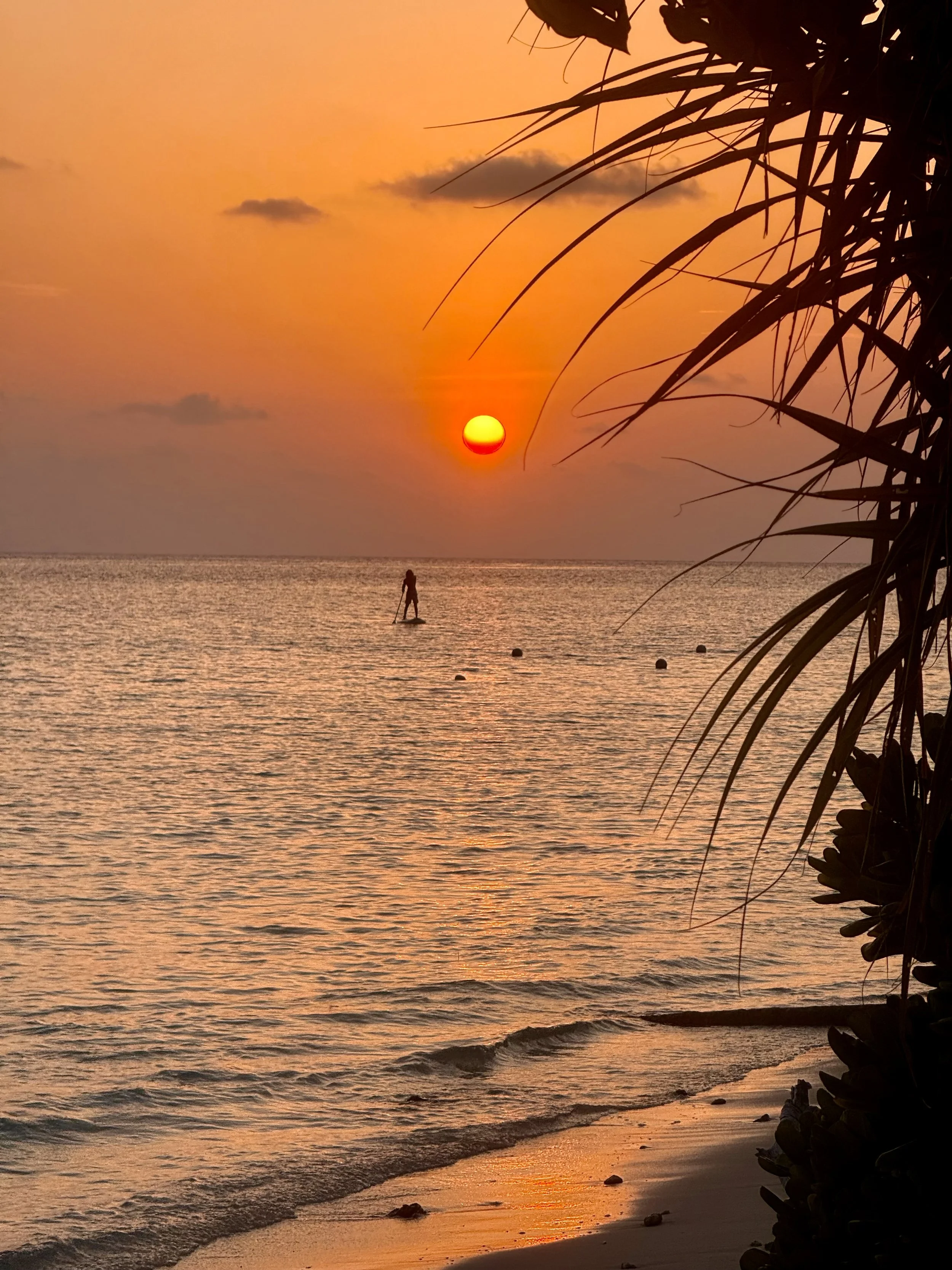 Coucher de soleil sur la mer avec un ciel orange, une personne faisant du paddle, des nuages et des végétaux en silhouette sur le côté droit.