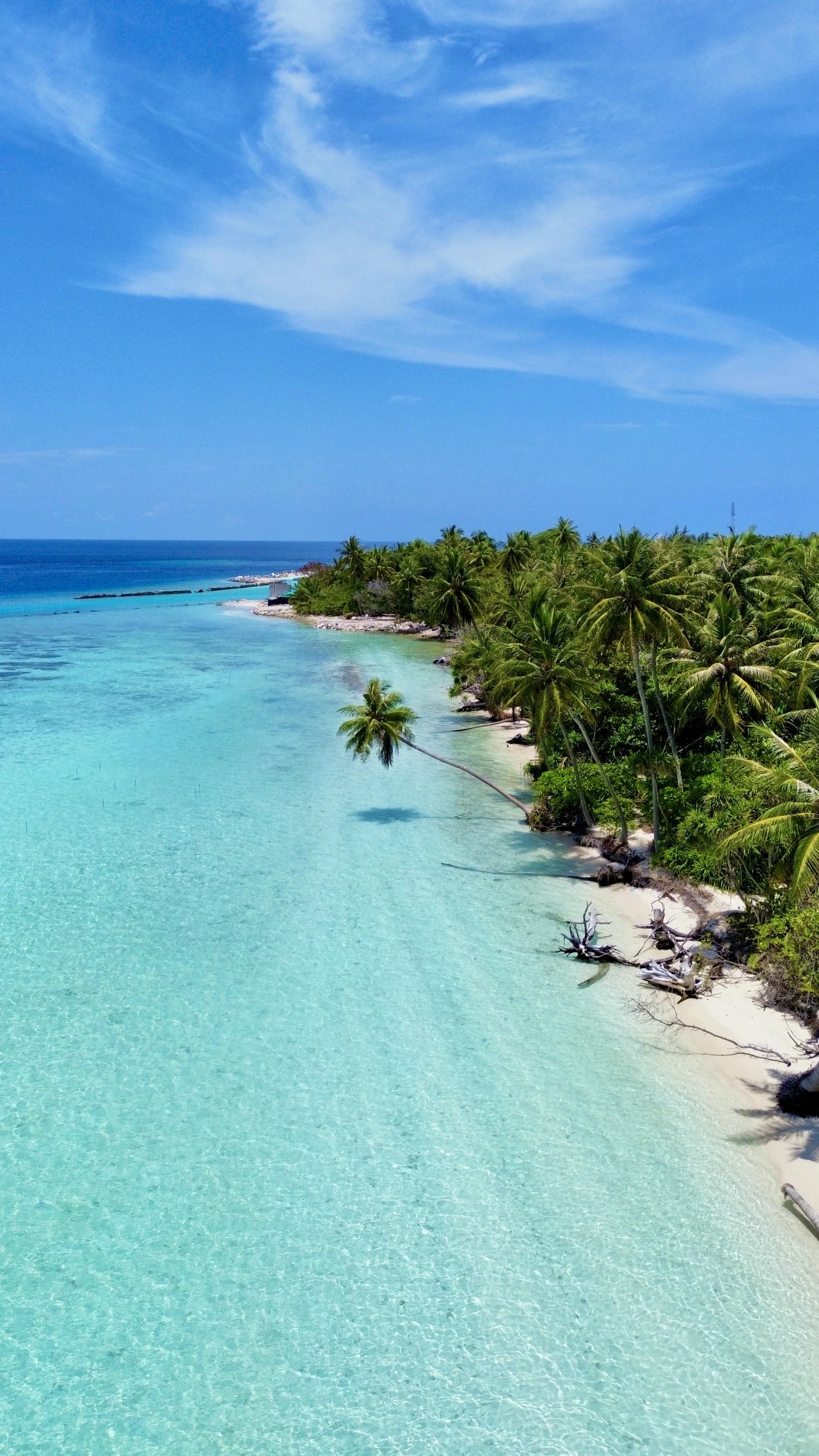Plage de sable blanc avec des eaux turquoise et une ligne de palmiers le long de la côte, sous un ciel bleu avec quelques nuages.