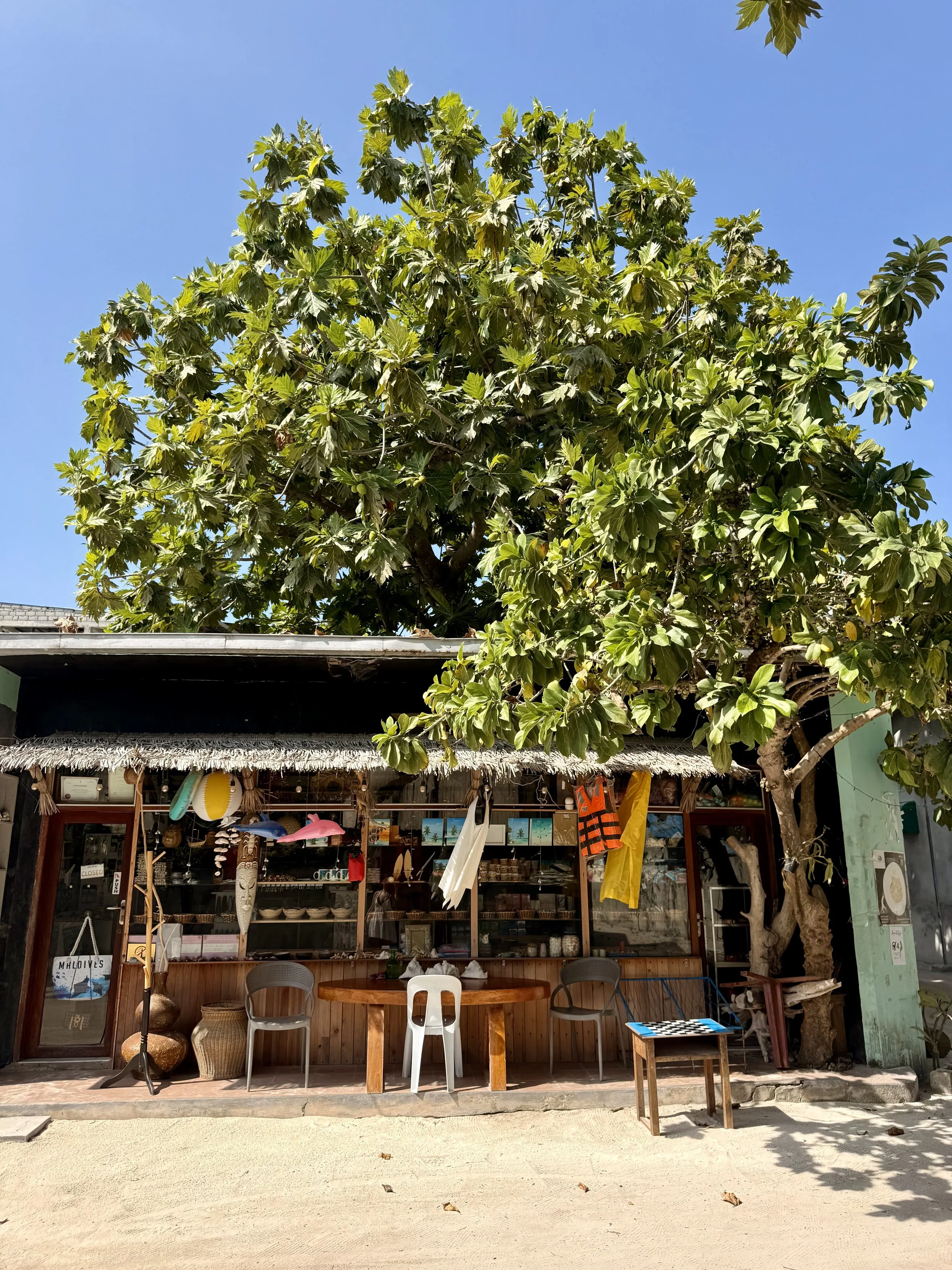 Une boutique en plein air sous un grand arbre, avec des meubles en bois, des chaises, des objets déco, des vêtements suspendus, et un tapis en motif noir et blanc, dans un cadre ensoleillé.
