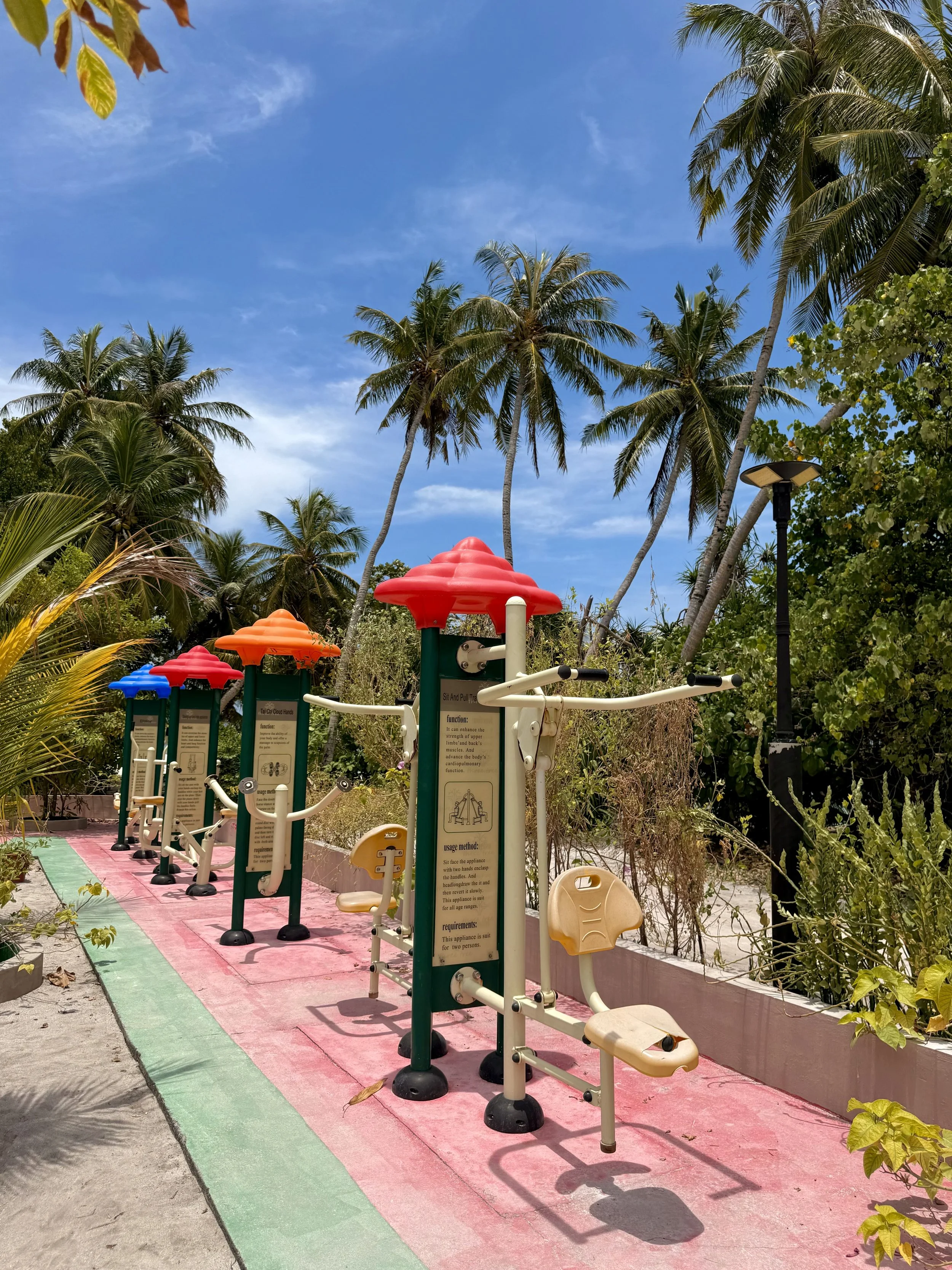 Installations d'exercices en plein air avec des palmiers en arrière-plan, sur un sentier coloré en rose et vert, sous un ciel bleu.
