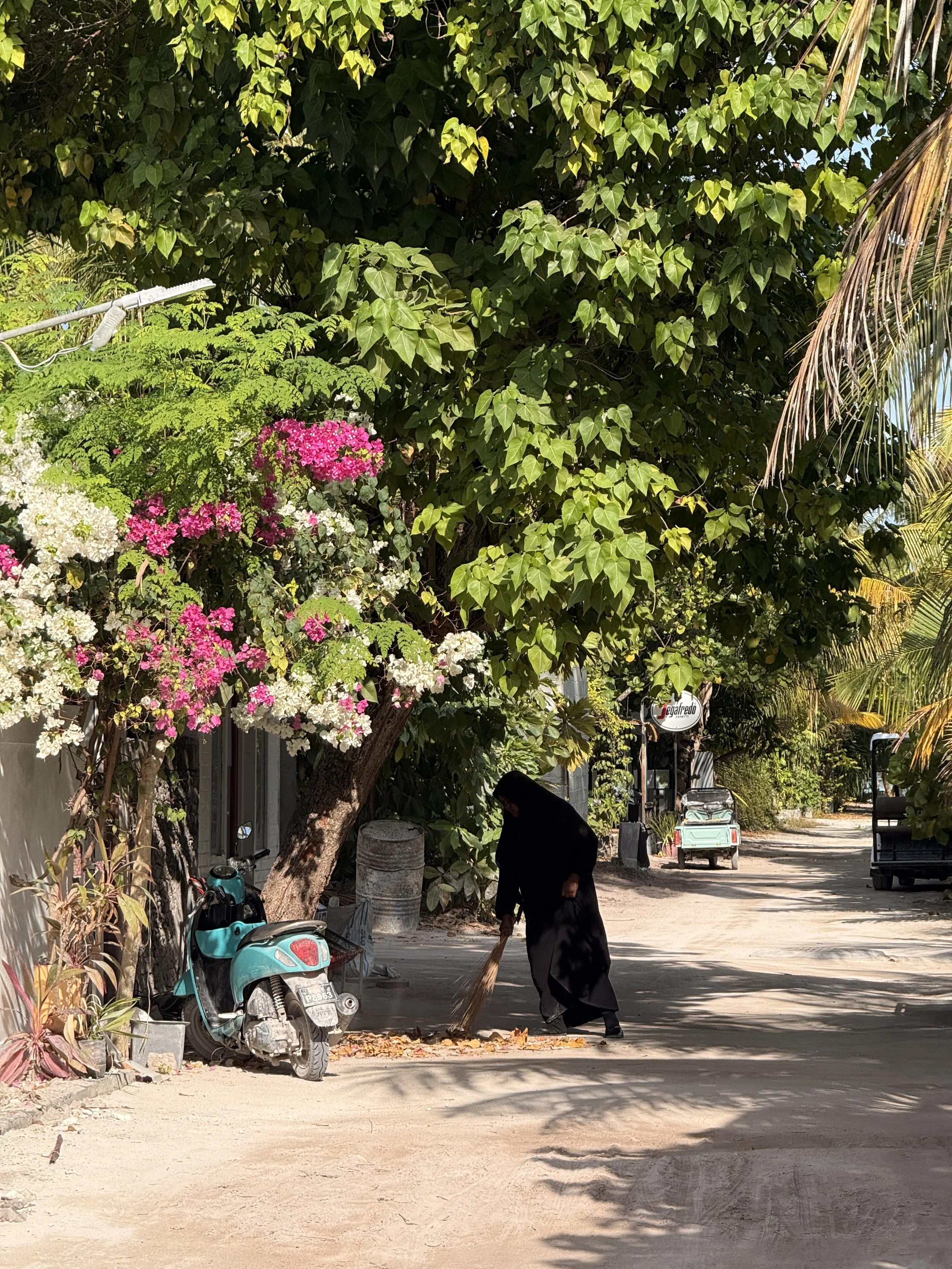 Une rue bordée d'arbres avec des fleurs roses et blanches, une femme habillée en noir balayant le sol, scooter garé sur le côté, ambiance ensoleillée.