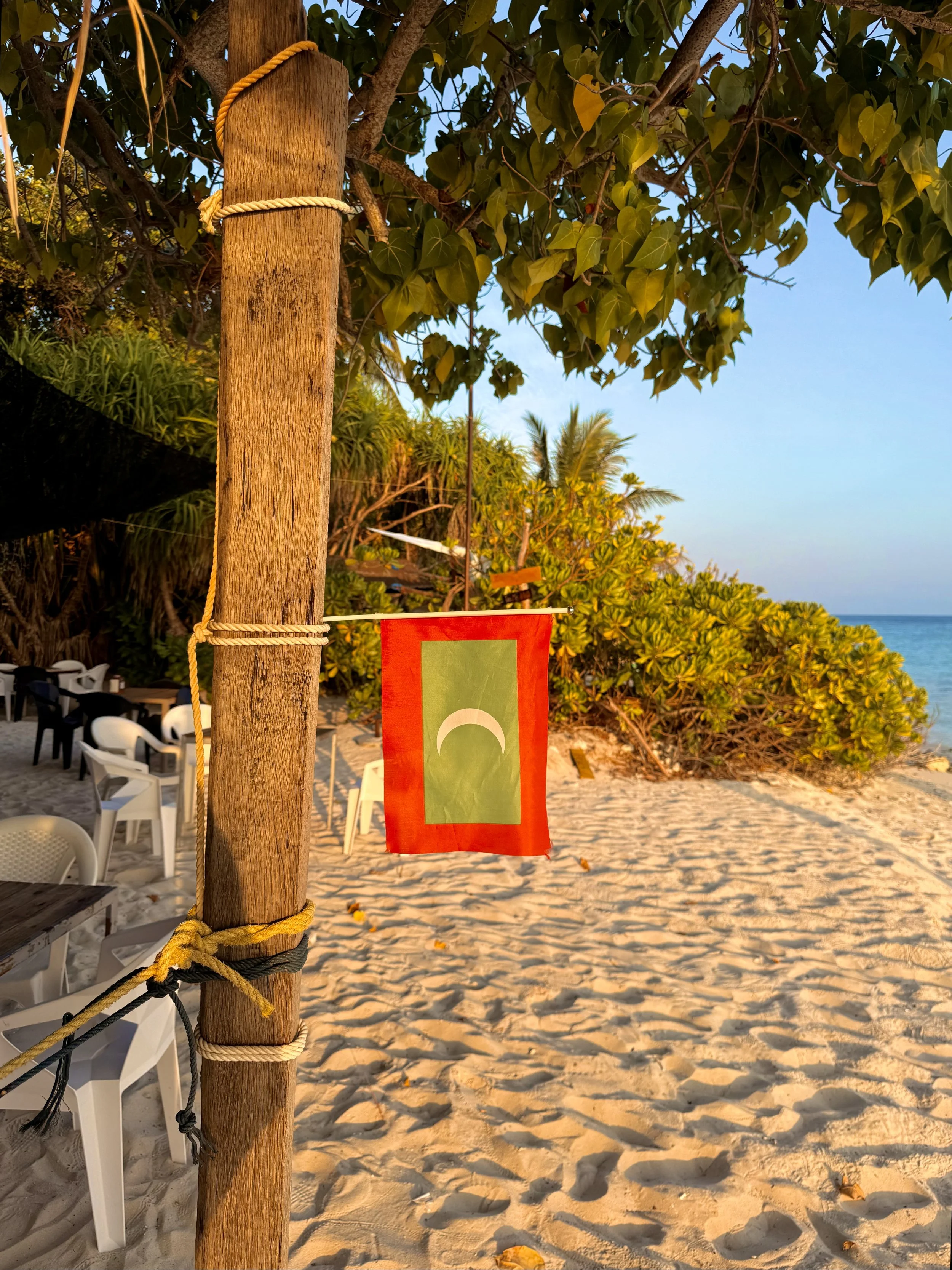 Un poteau en bois avec des cordes attachées, situé sur une plage avec des chaises en plastique blanc, des arbres verts et un ciel bleu.