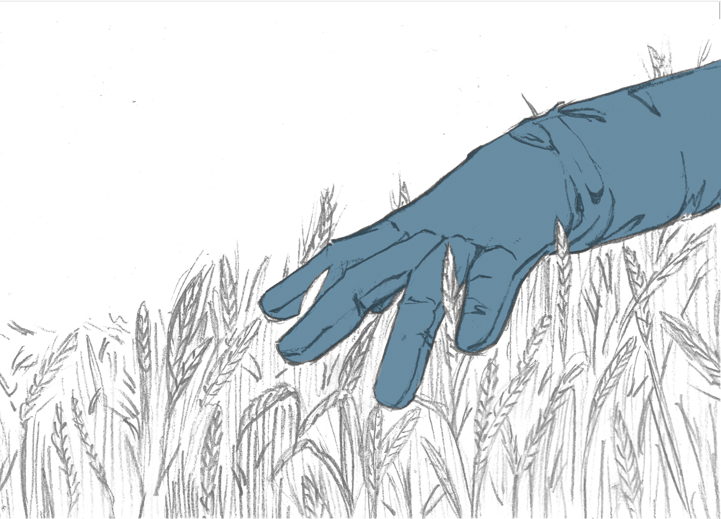 Solace In Seeds