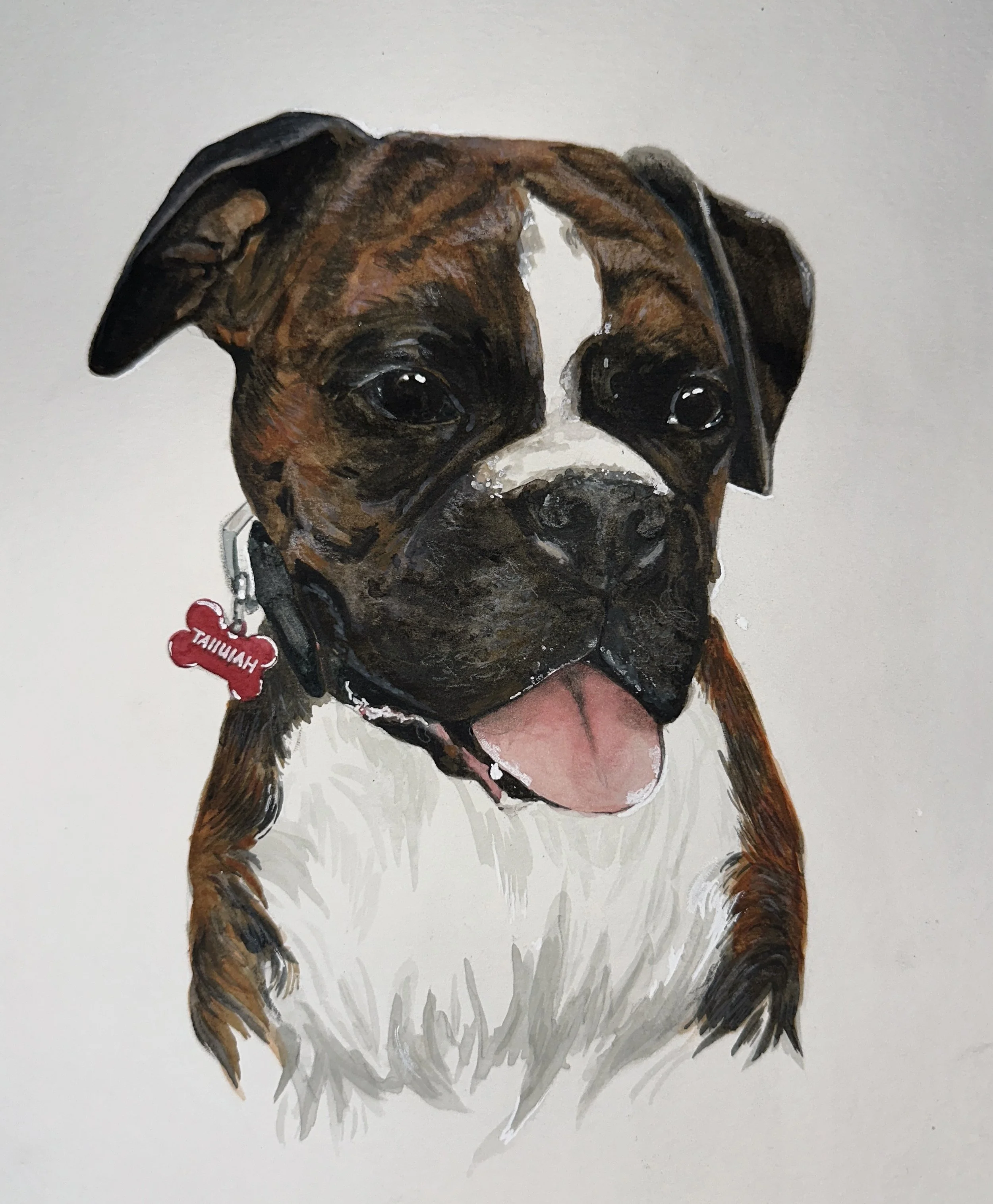 pet portraits