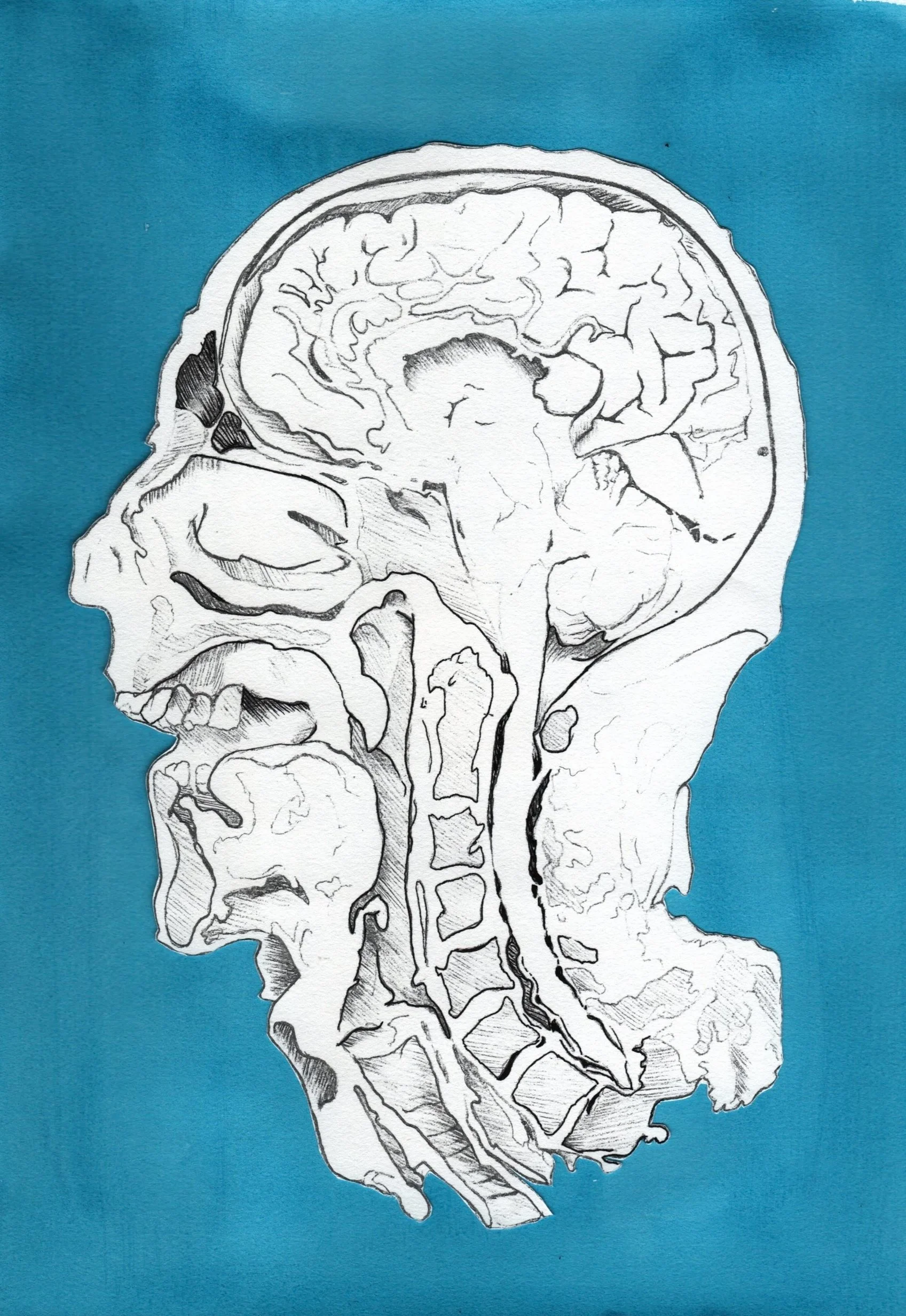 Engram - Neuroscience