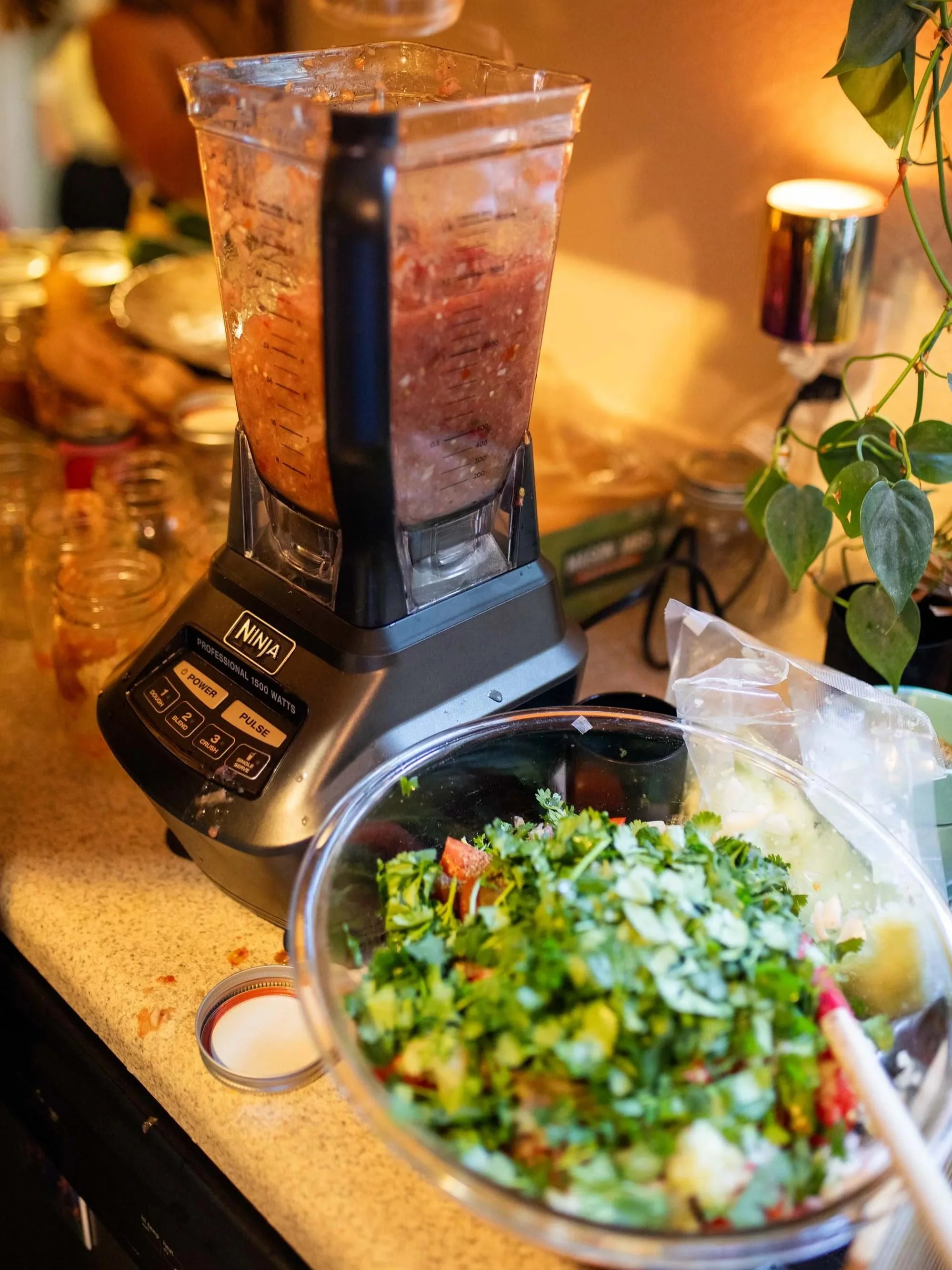 Recipe: Fresh Red or Green Salsa