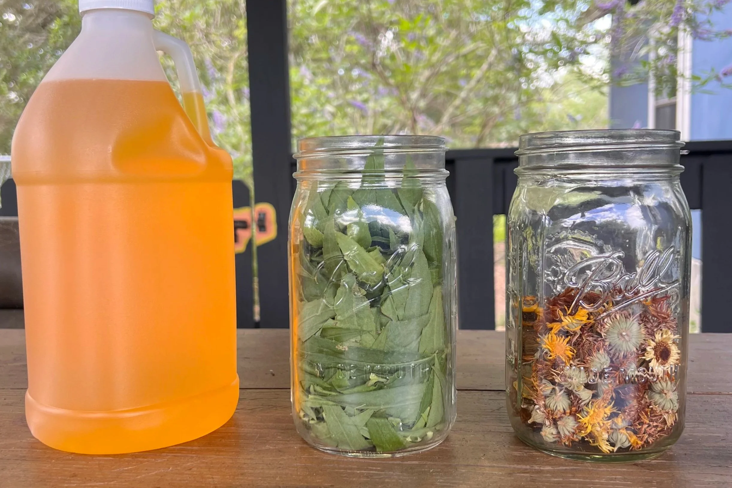 Recipe: Calendula &amp; Goldenrod Salve