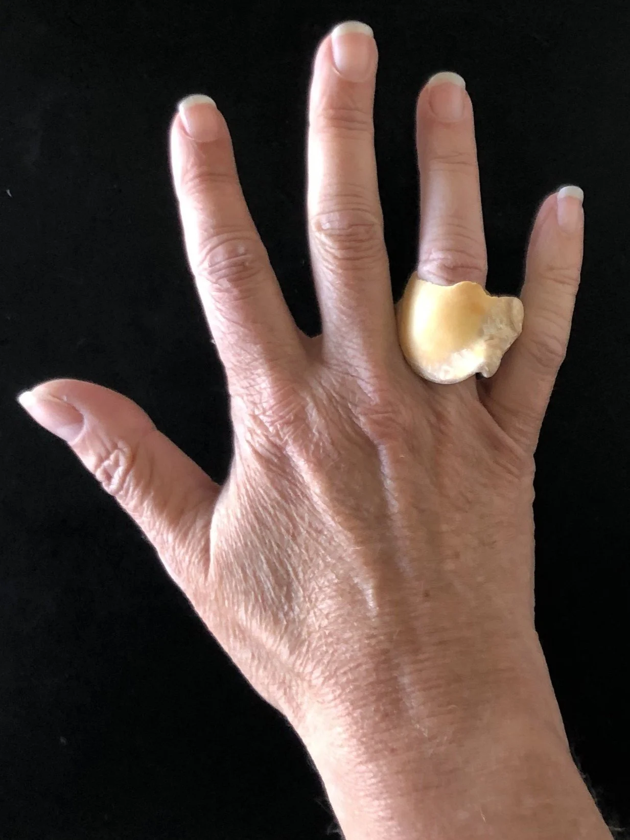 Ring rødlig 3.jpg