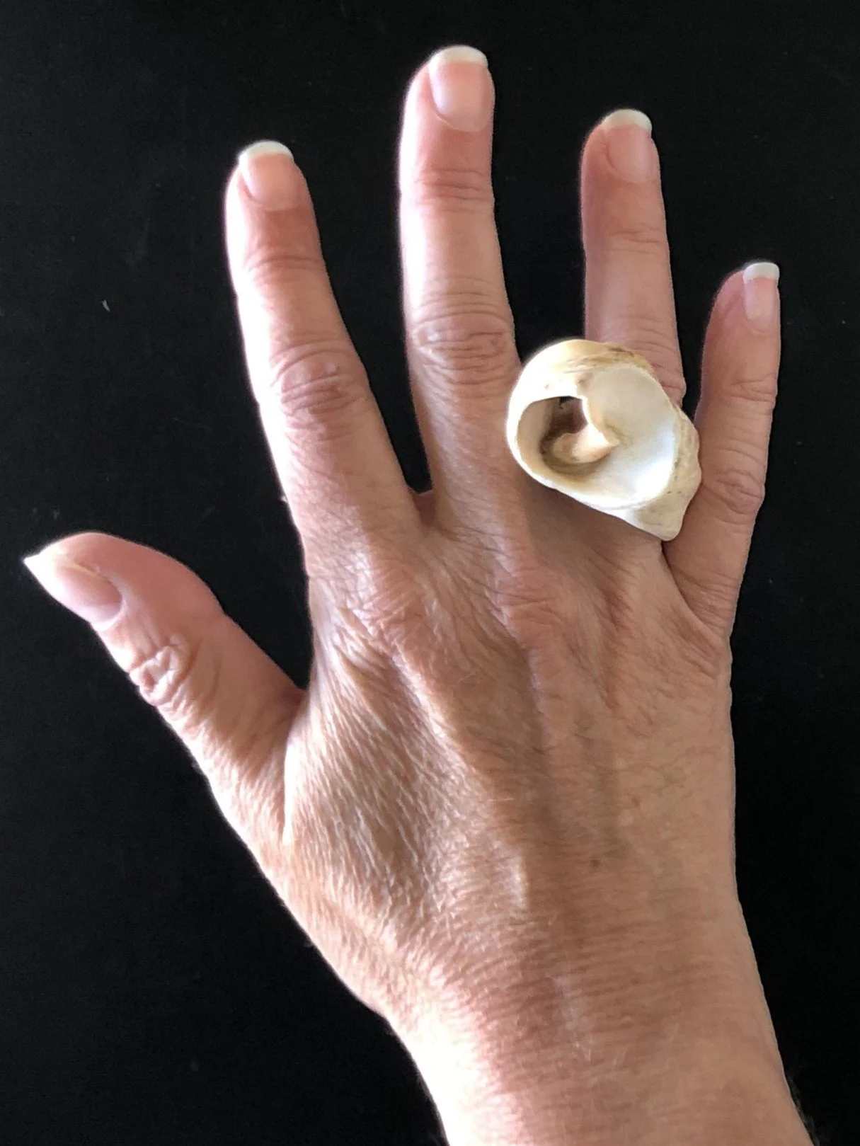 Ring rødlig 10.jpg